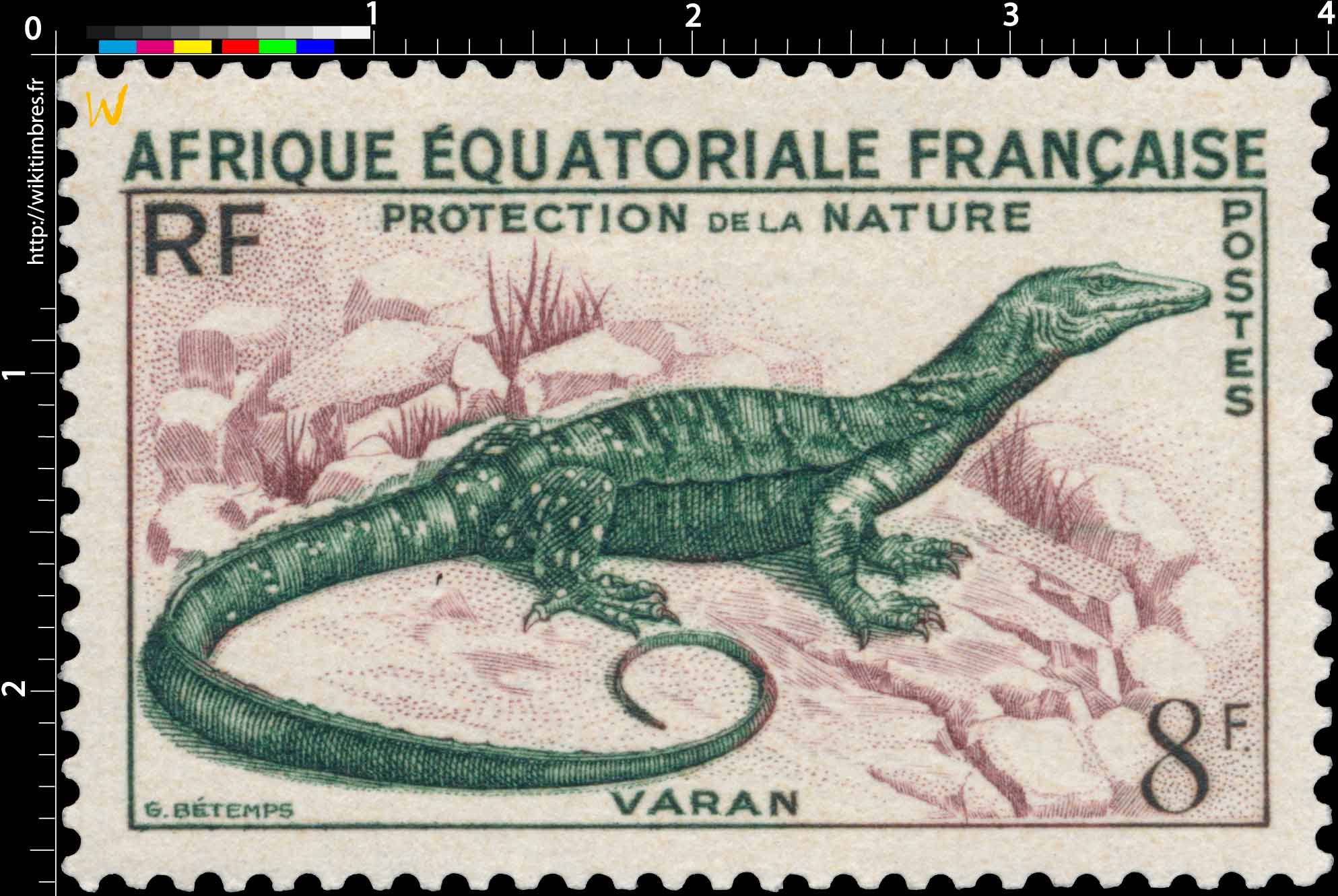 Protection de la nature Varan Afrique Équatoriale Française 