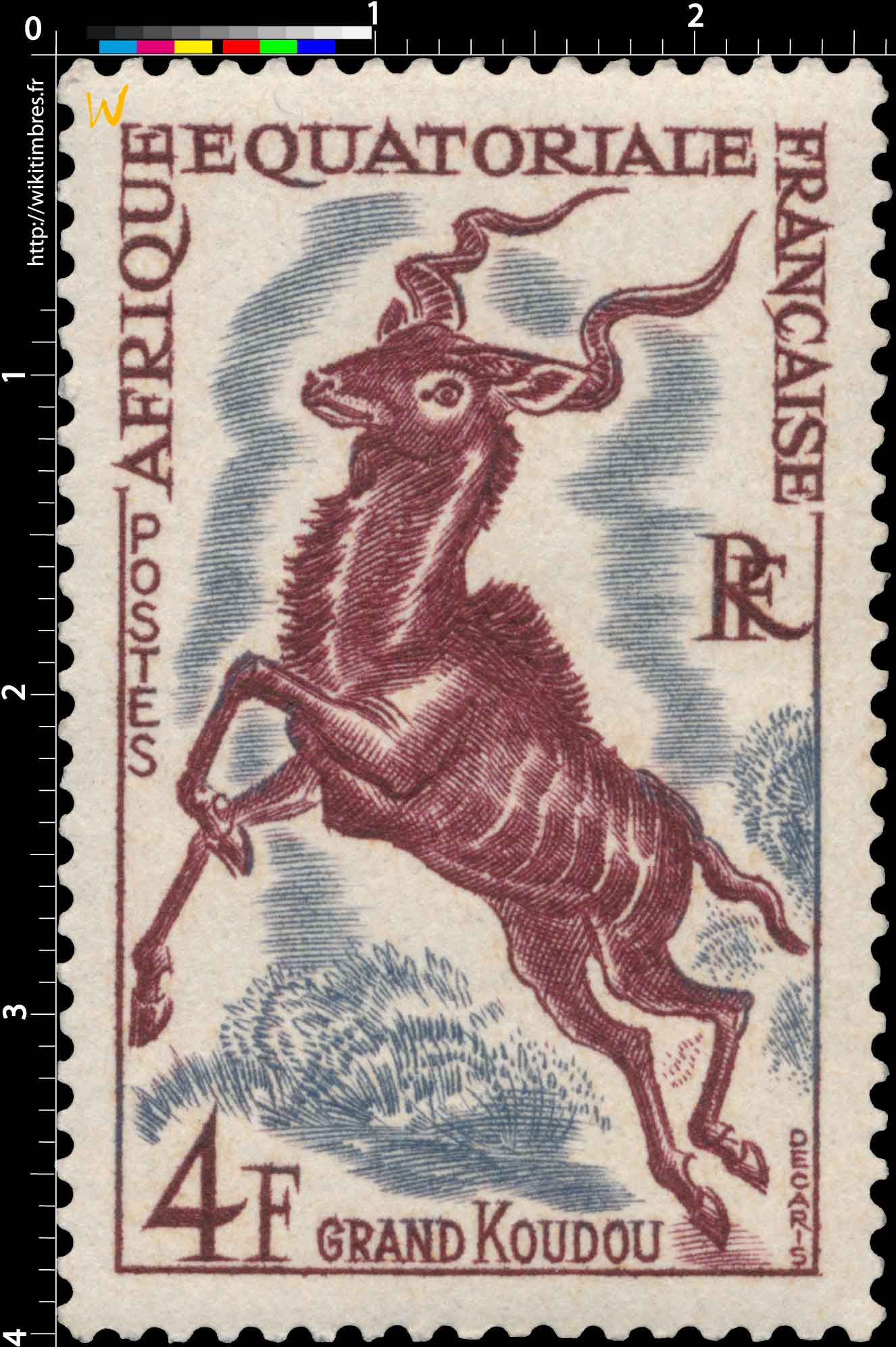 Grand Koudou Afrique Équatoriale Française