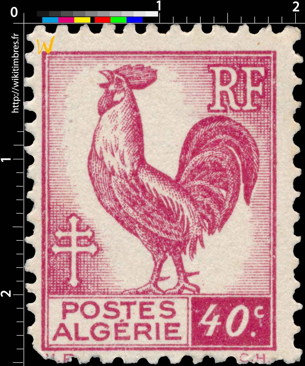 Algérie - Type Coq d'Alger 