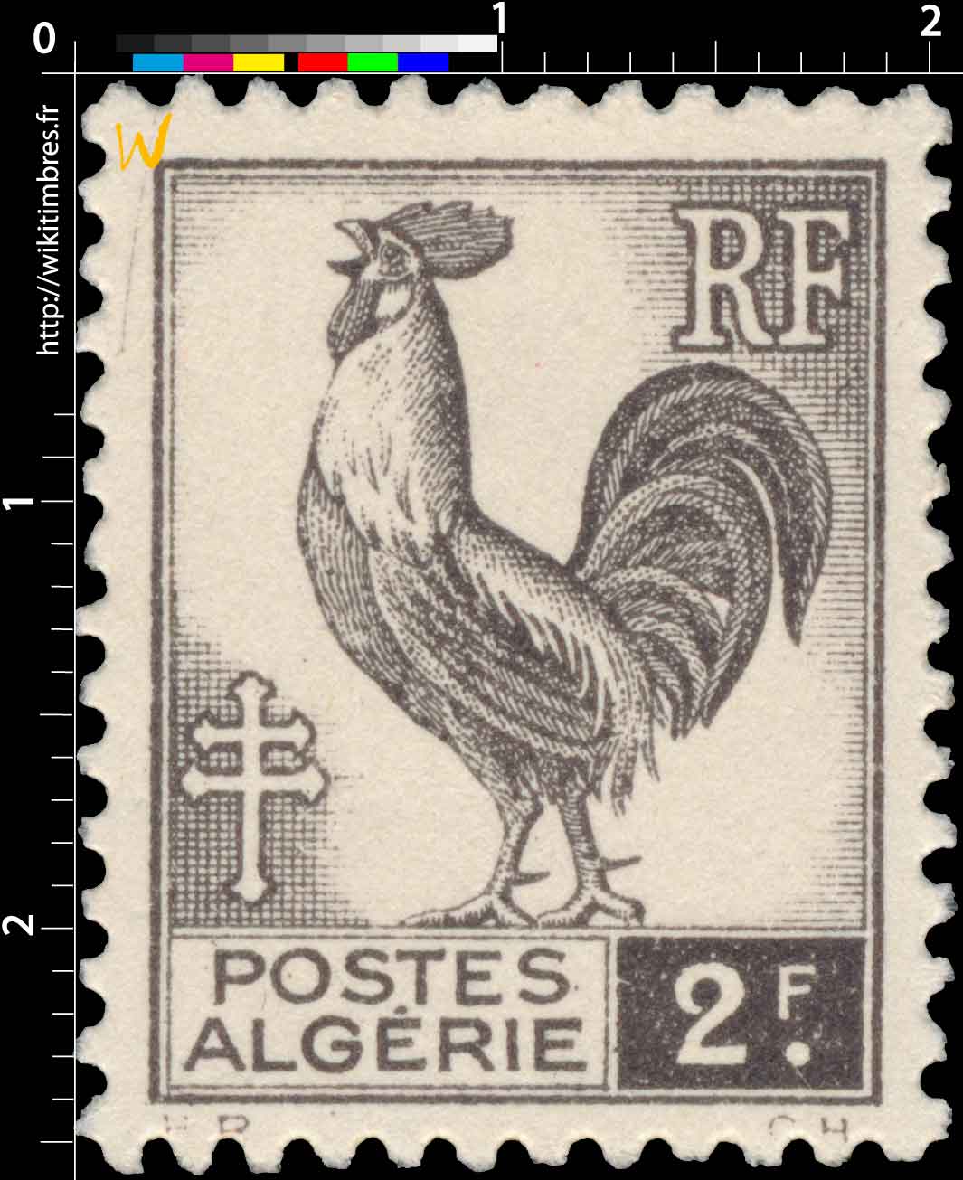 Algérie - Type Coq d'Alger