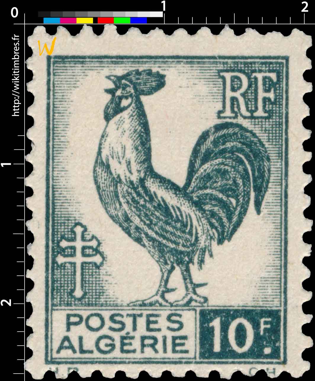 Algérie - Type Coq d'Alger
