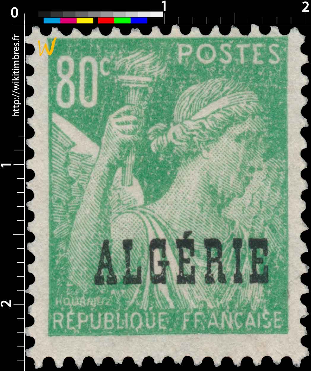 Algérie - Iris