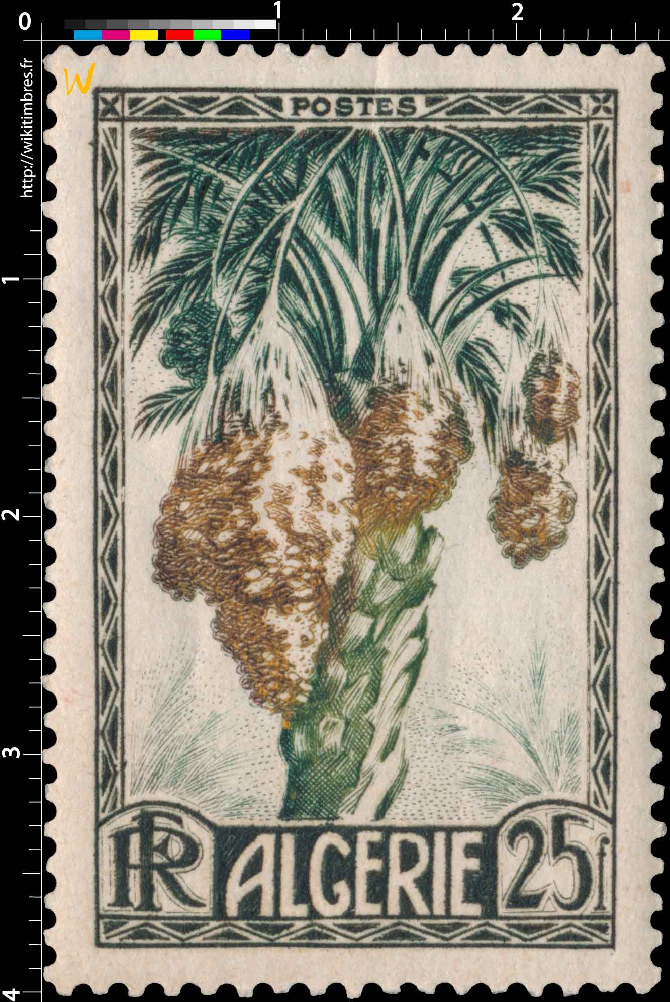 Algérie - Dattes