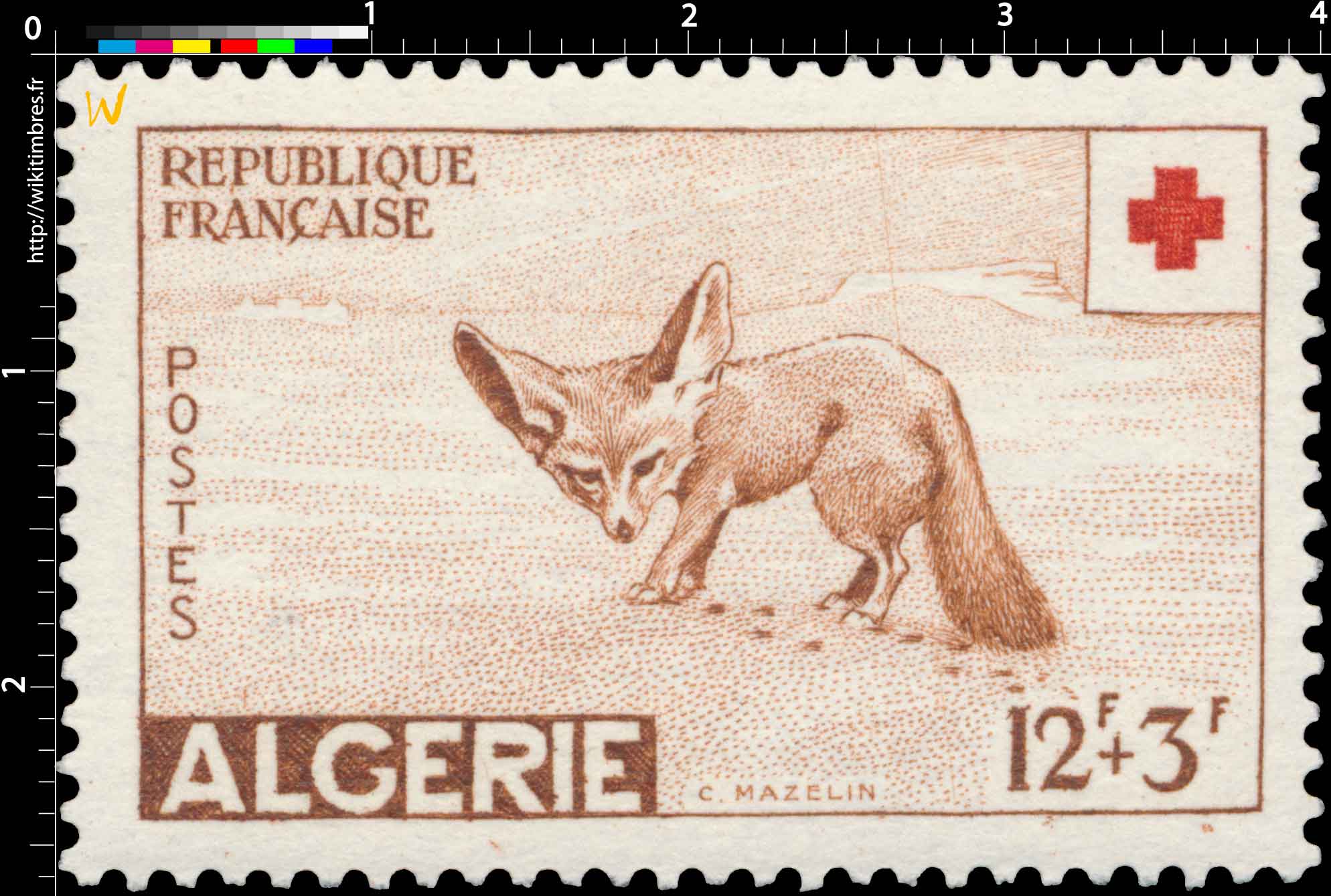 Algérie - Fennec