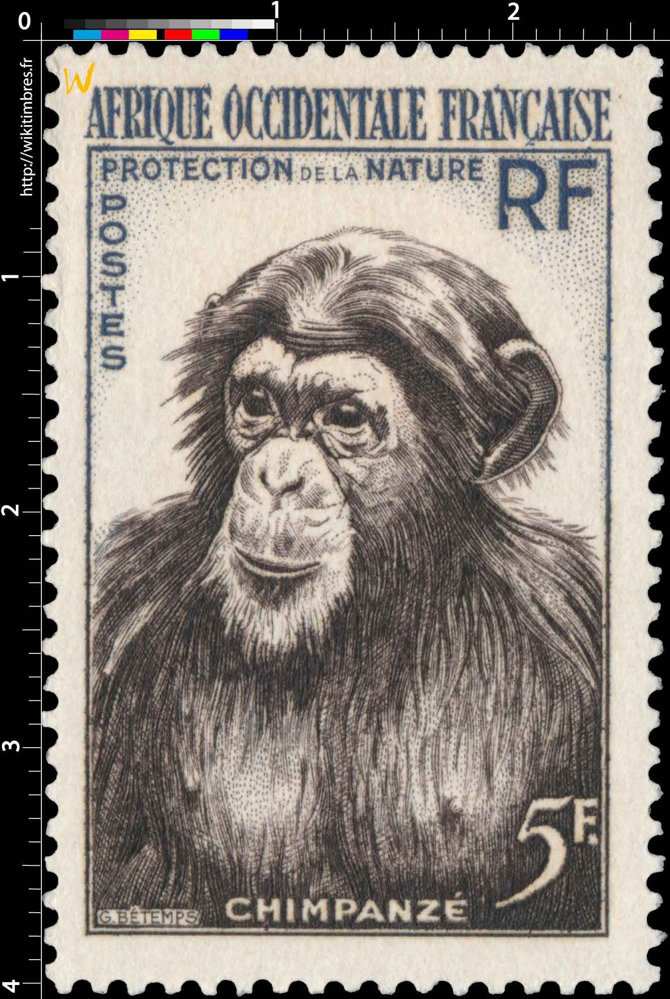 Afrique Occidentale Française - Protection de la nature - Chimpanzé