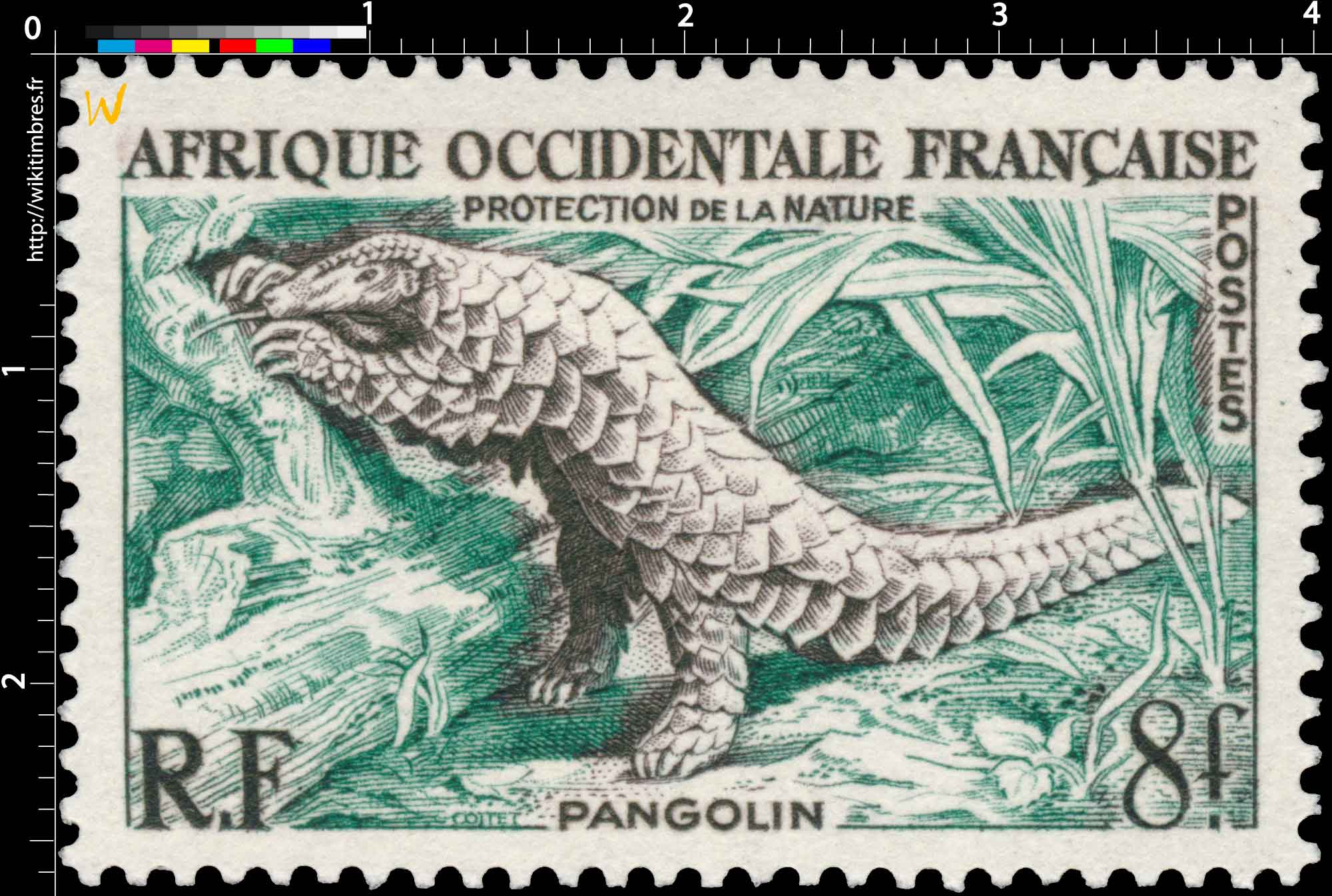 Afrique Occidentale Française - Protection de la nature - Pangolin