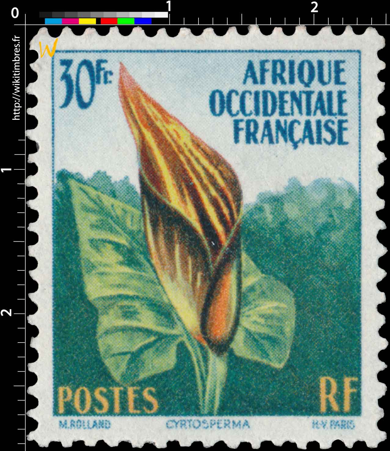 Afrique Occidentale Française - Cyrtosperma