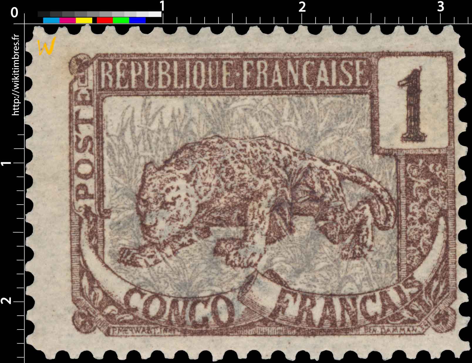 Congo - type panthère