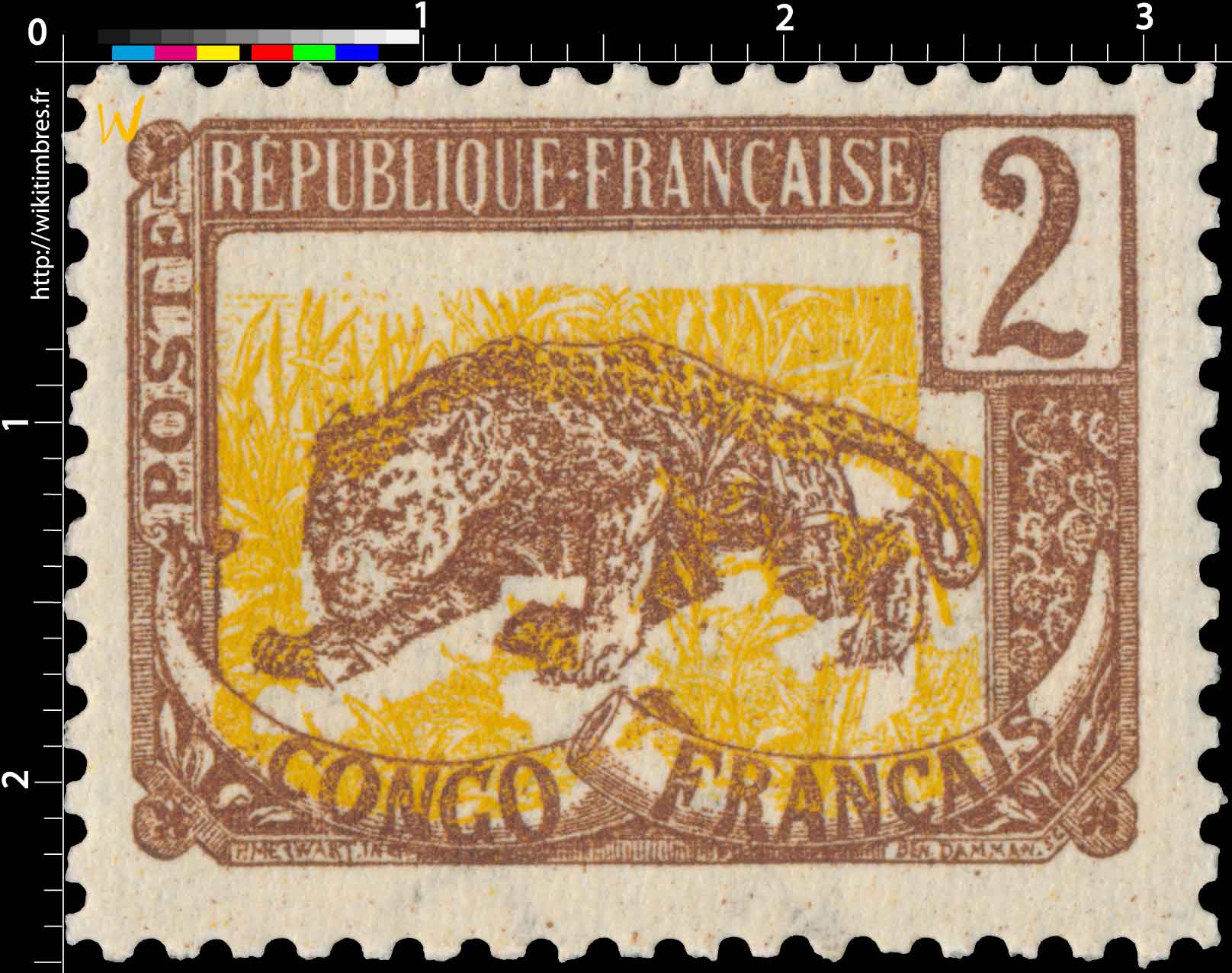 Congo - type Panthère