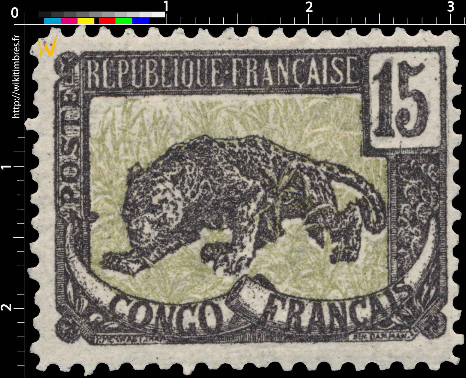 Congo - Panthère