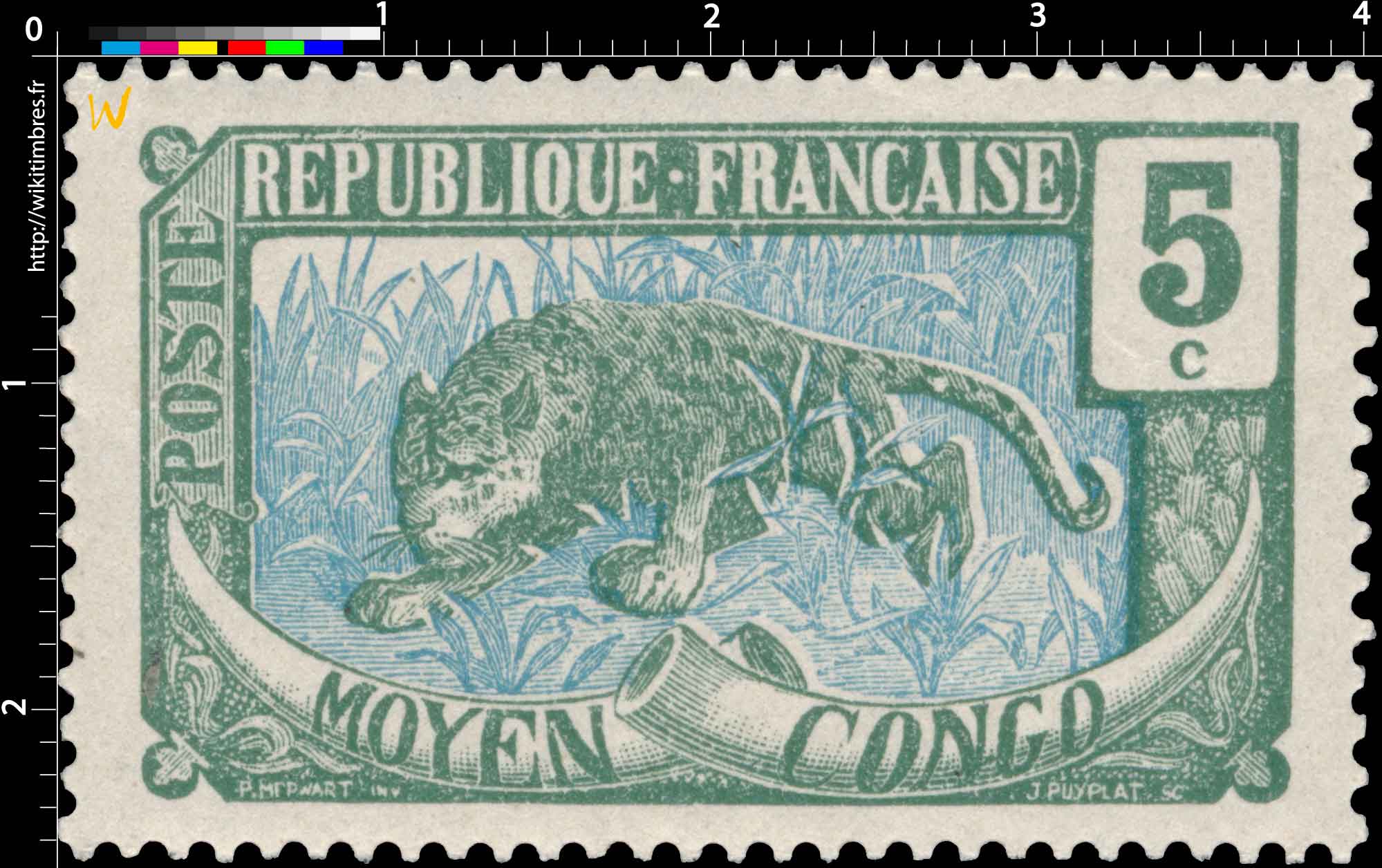 Congo - Panthère