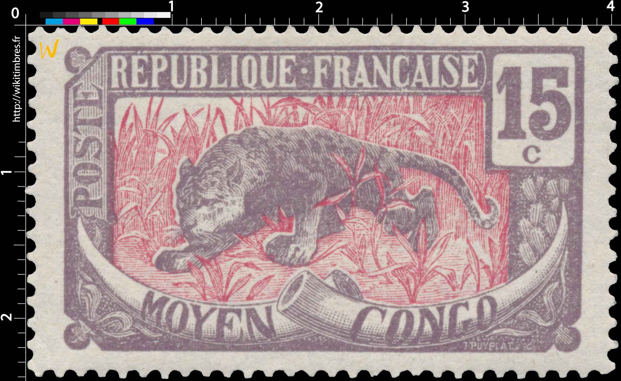 Congo - Panthère