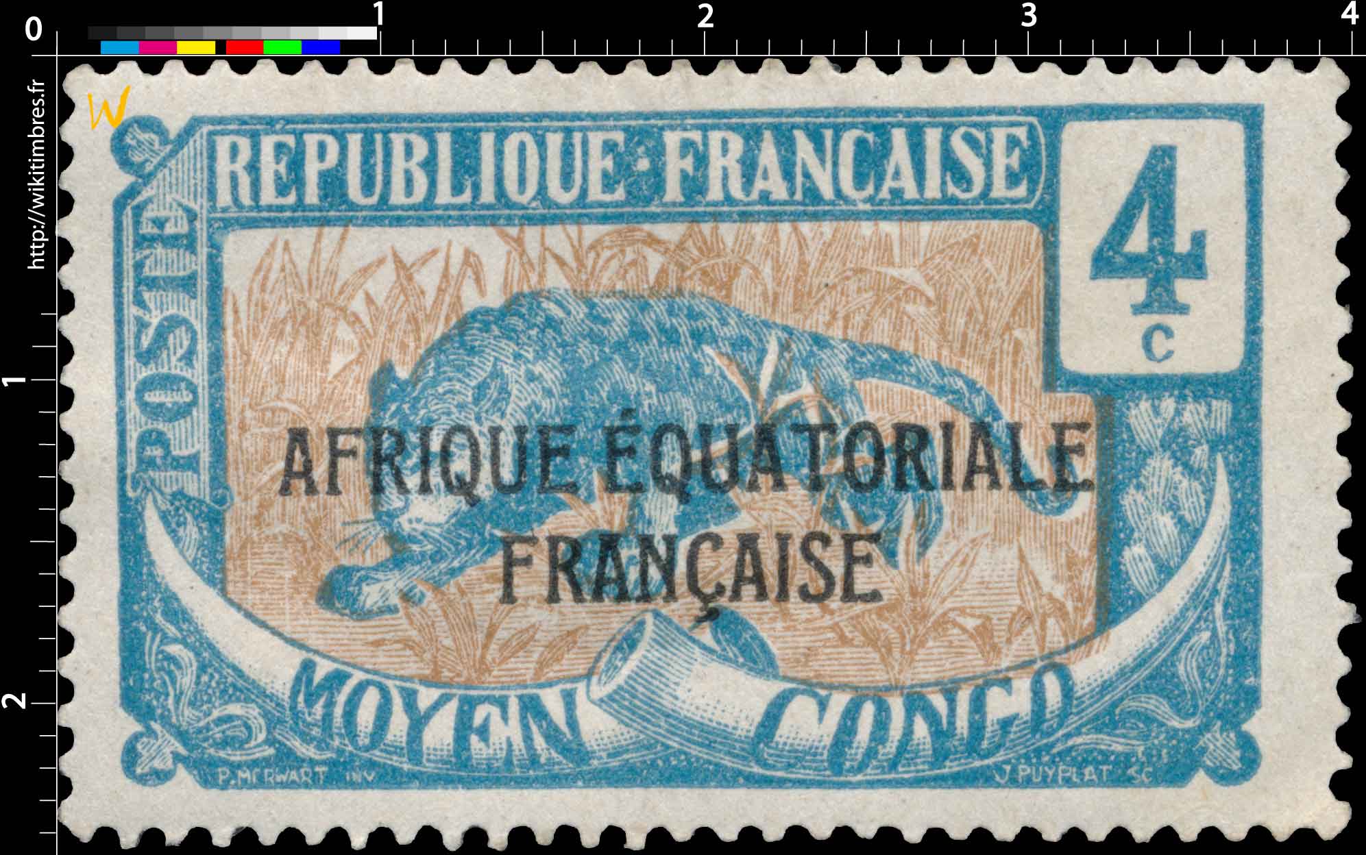 Congo - Panthère