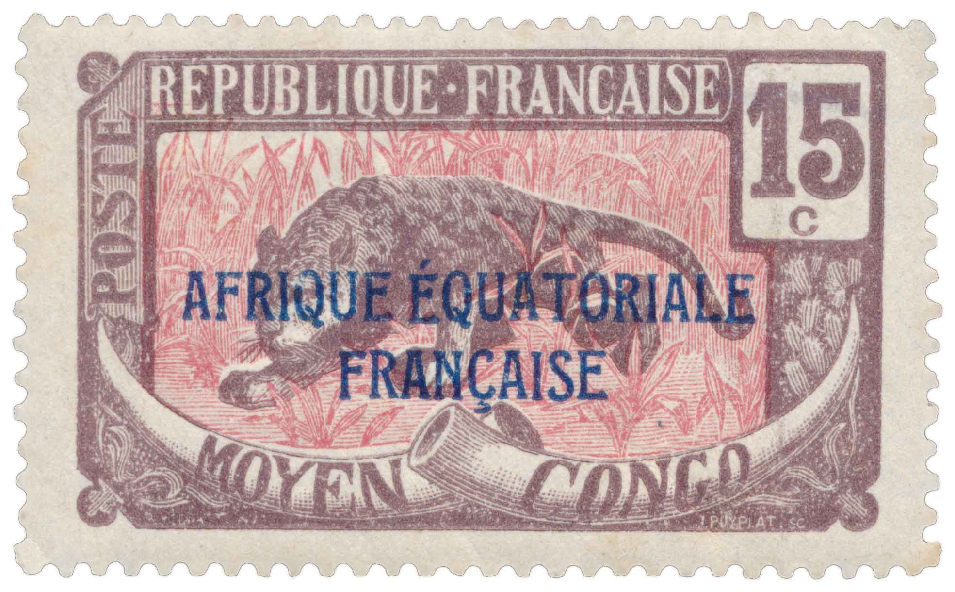 Congo - Panthère