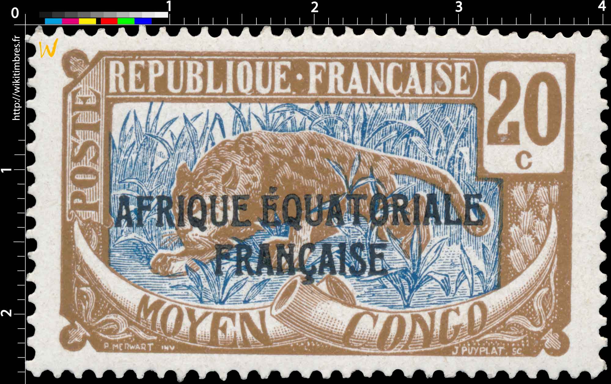 Congo - Panthère