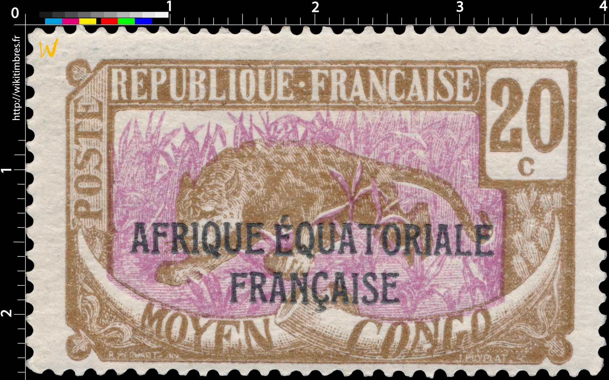 Congo - Panthère   