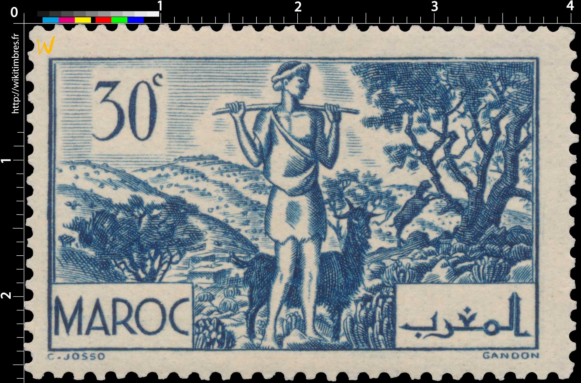 1939 Maroc - Les Arganiers