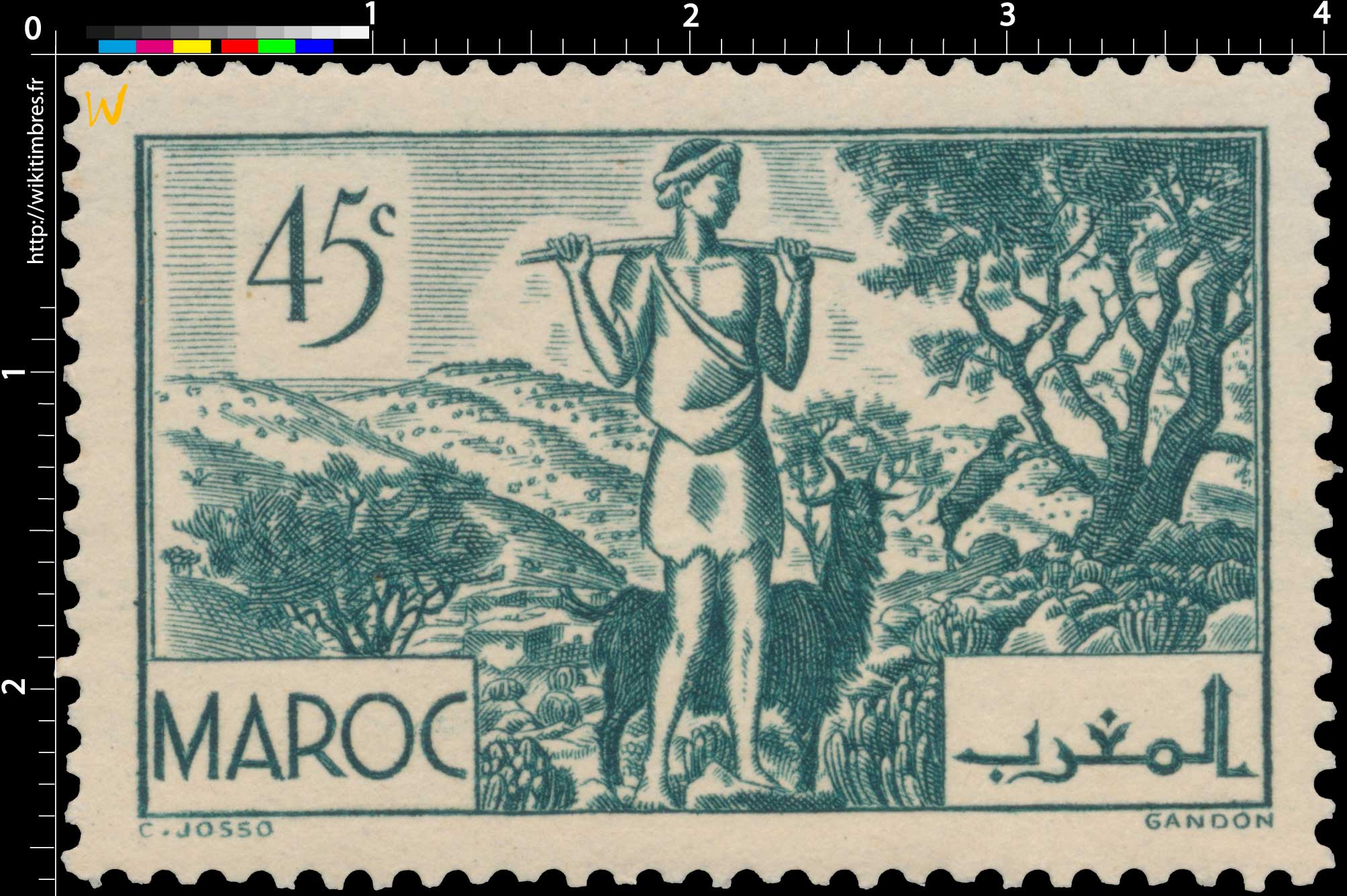 1939 Maroc - Les Arganiers