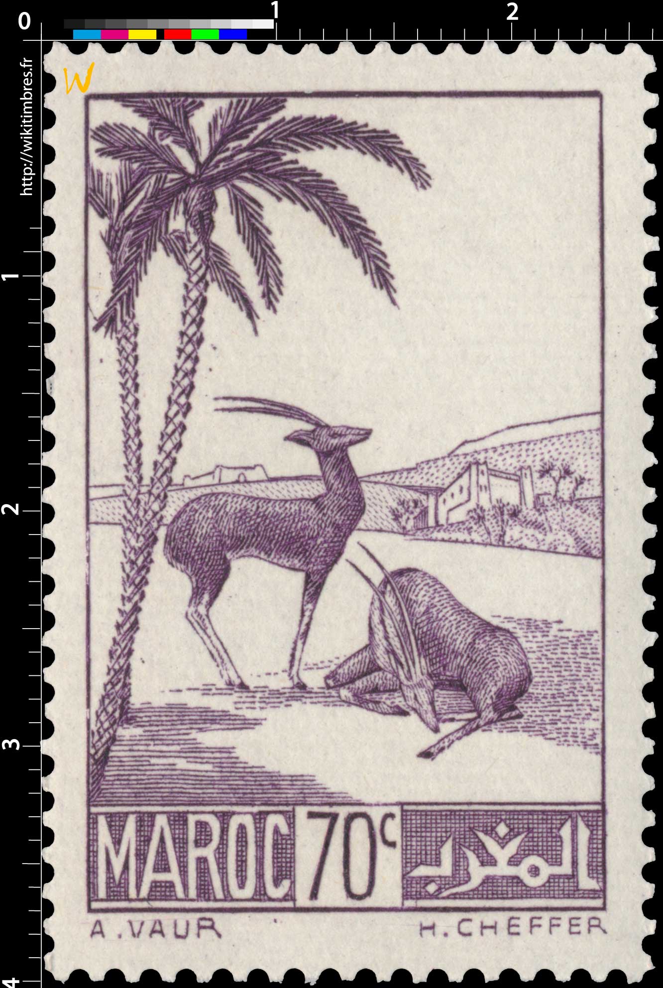 1939 Maroc - Gazelles