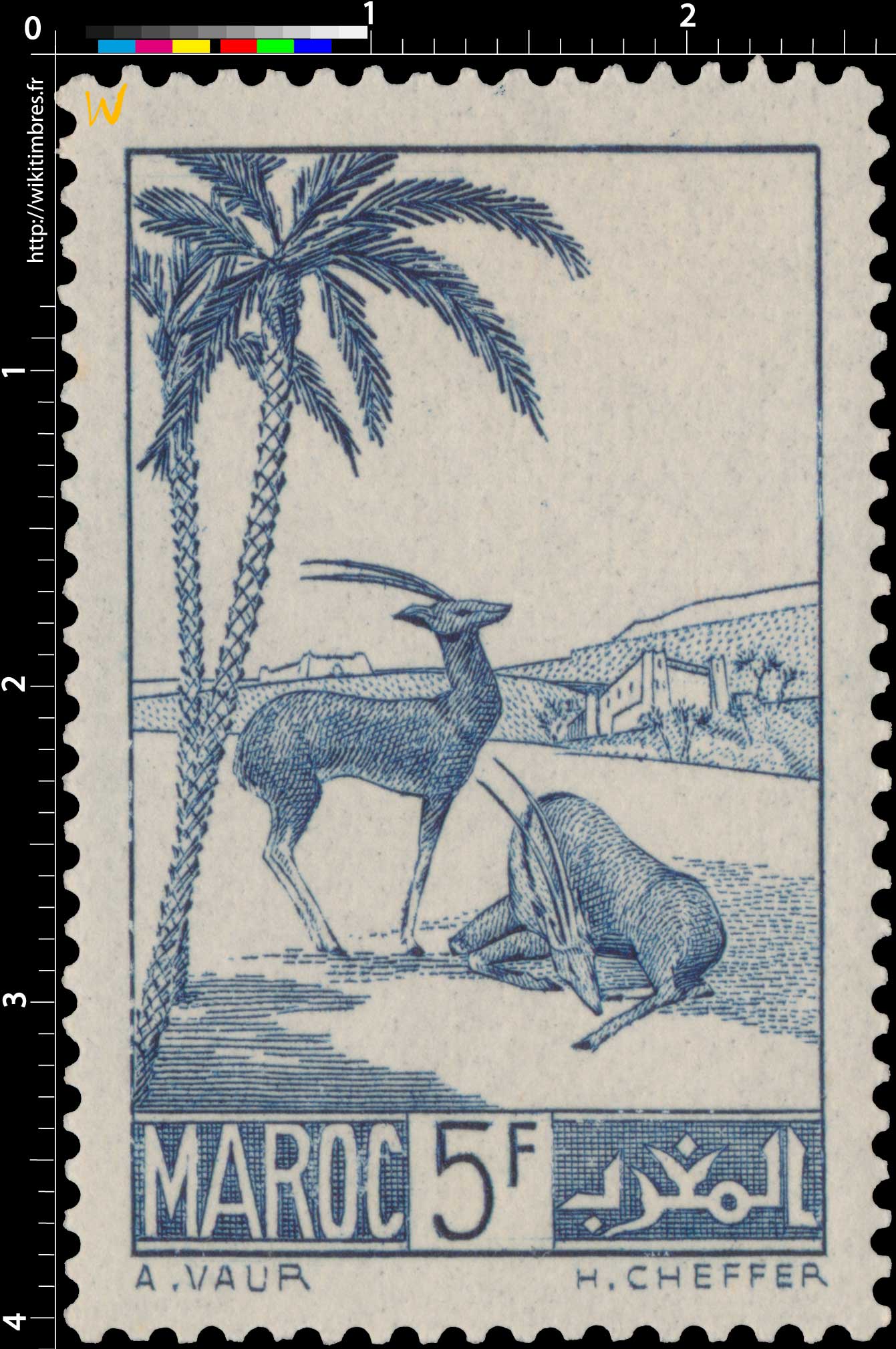 1939 Maroc - Gazelles