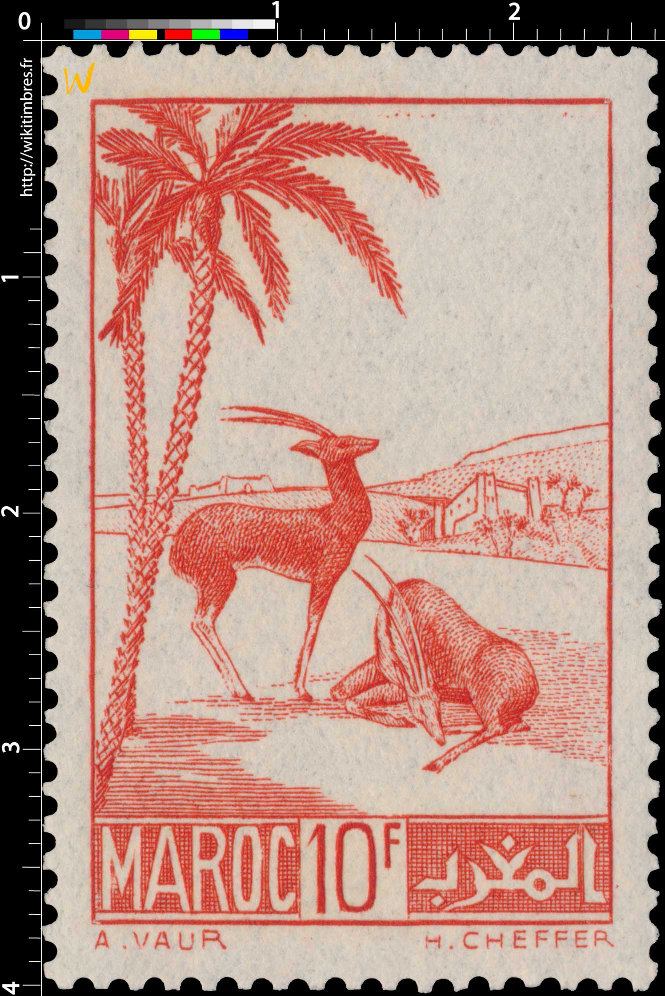 1939 Maroc - Gazelles