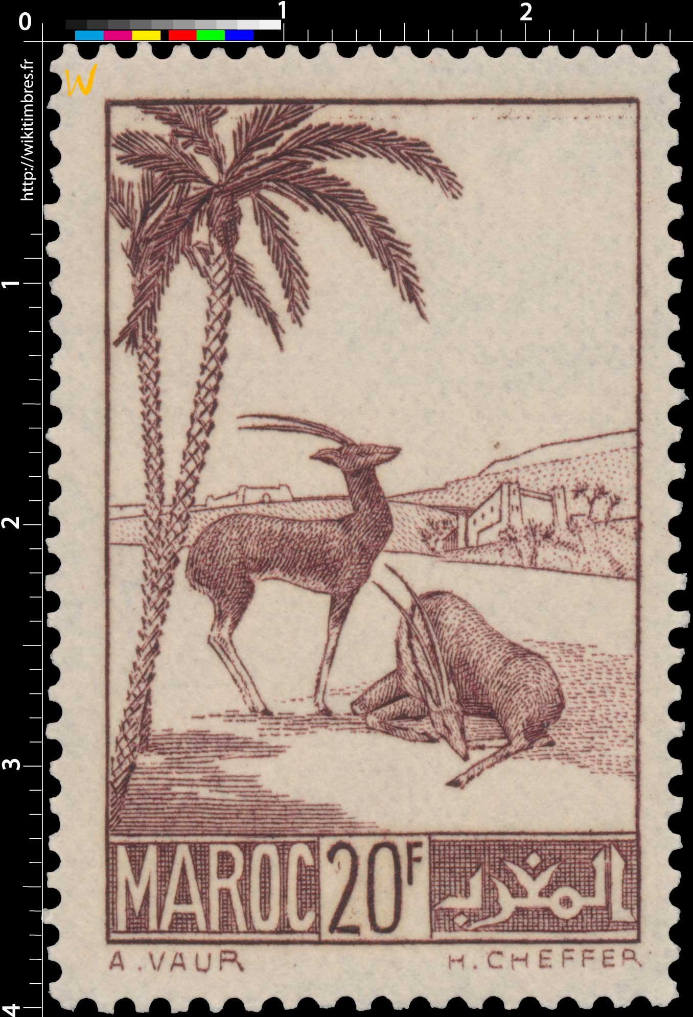 1939 Maroc - Gazelles