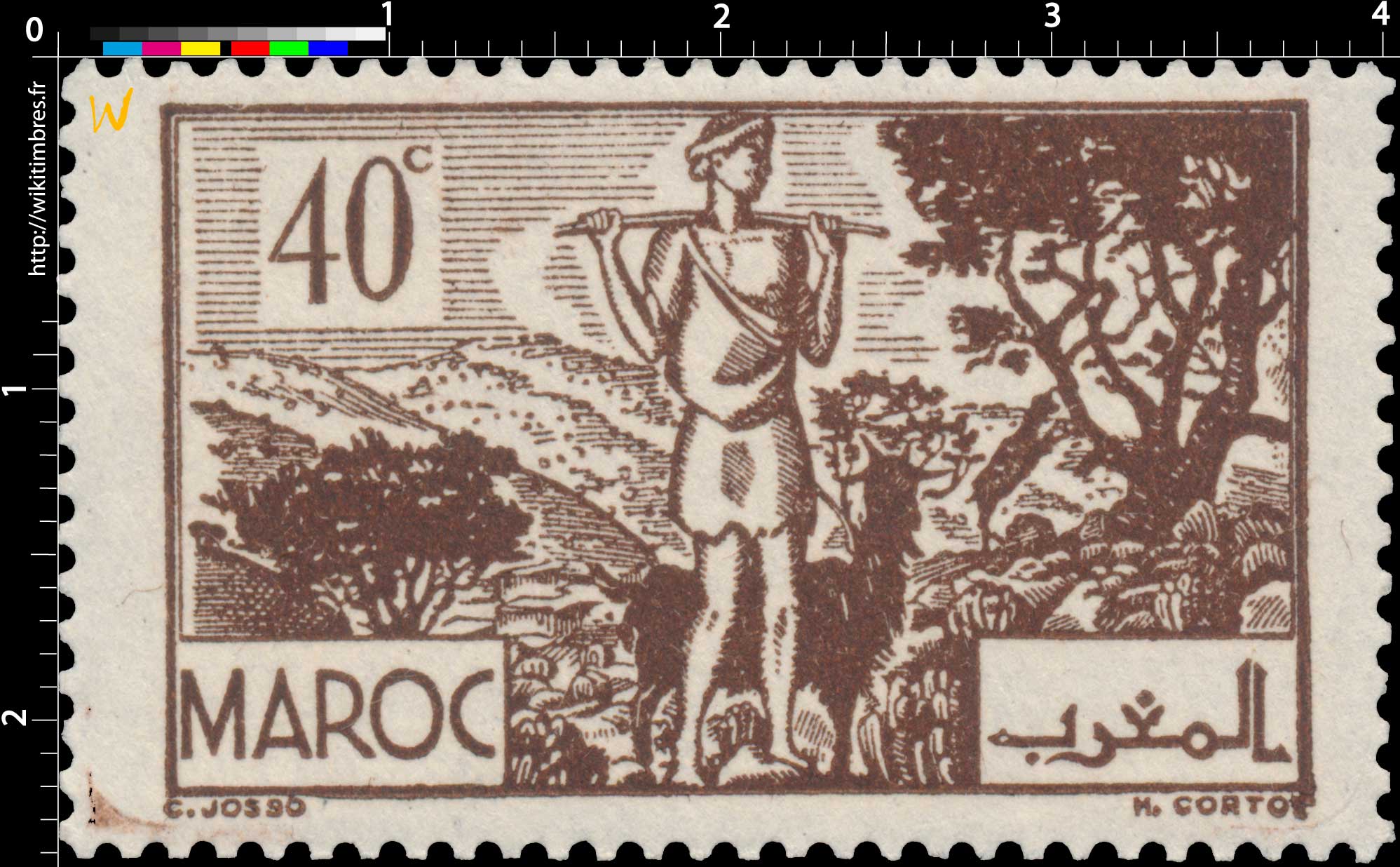 1945 Maroc - Les Arganiers