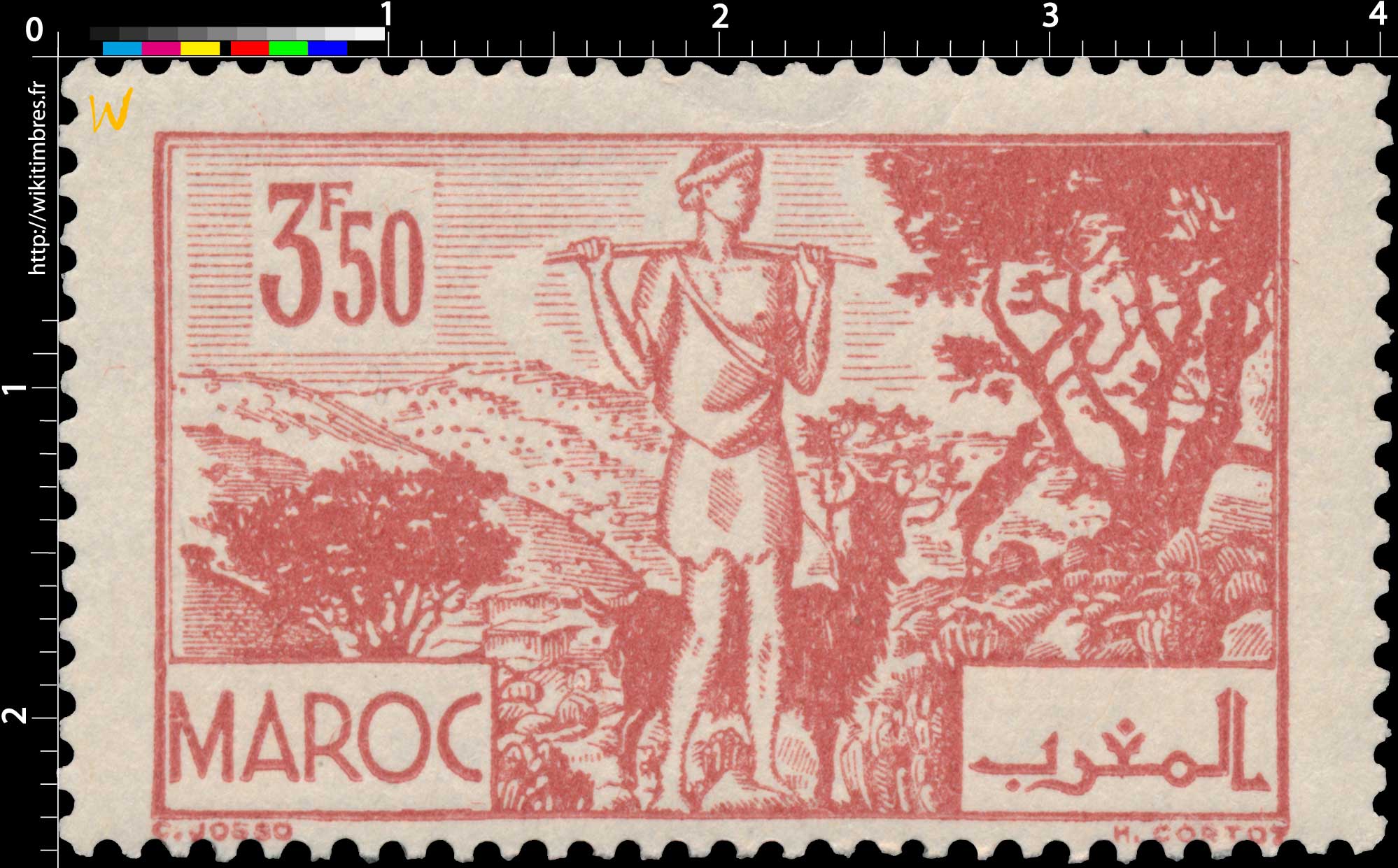 1945 Maroc - Les Arganiers