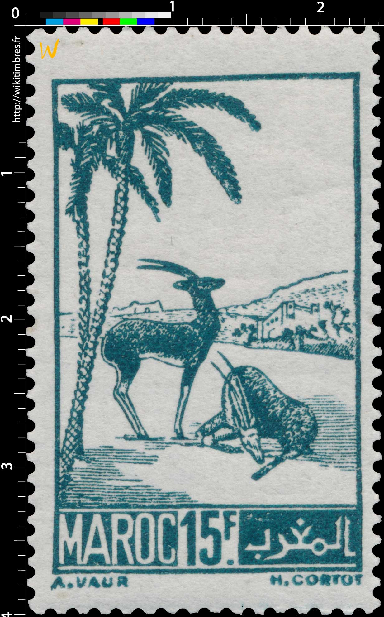 1945 Maroc - Gazelles