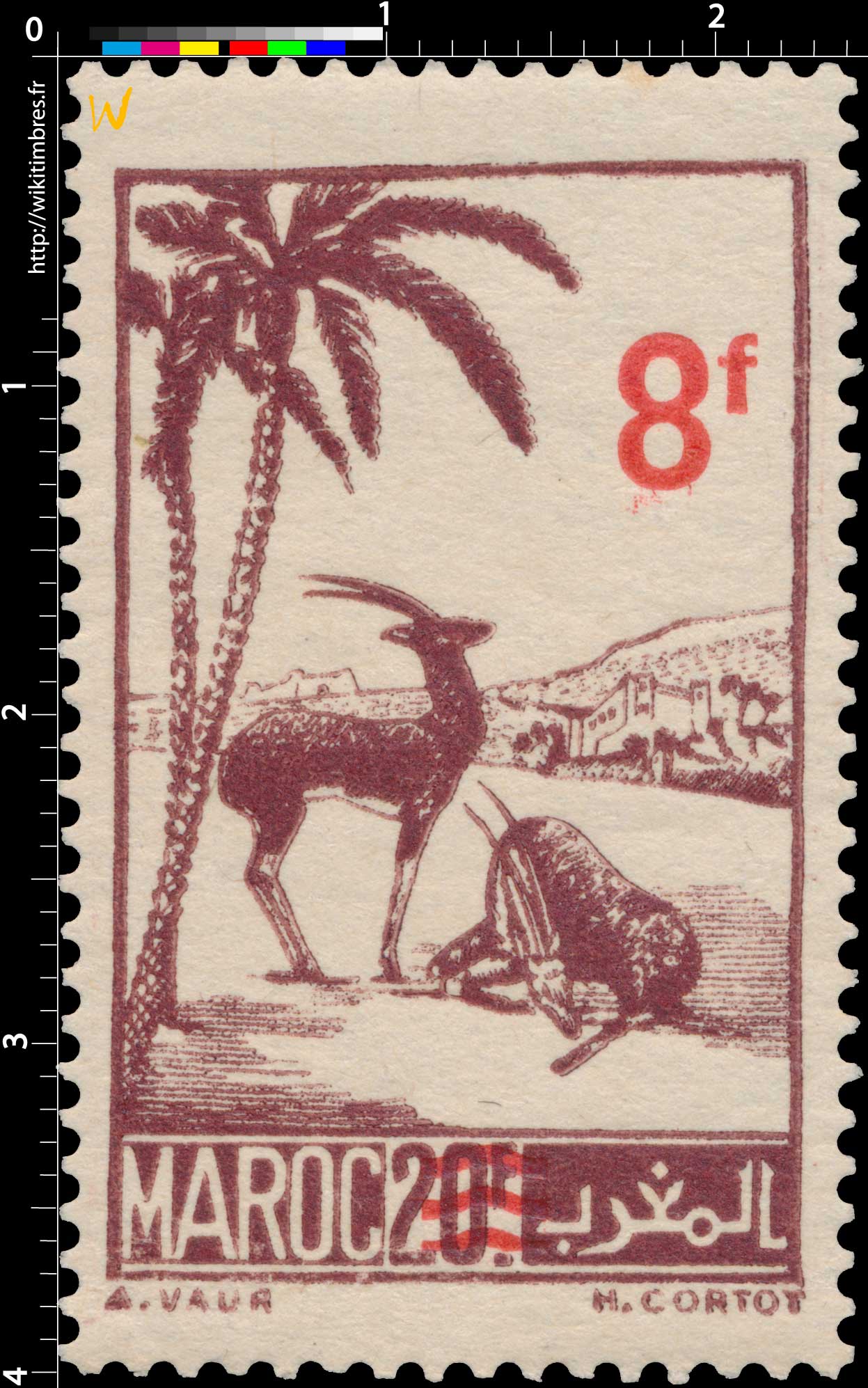 1948 Maroc - Gazelles