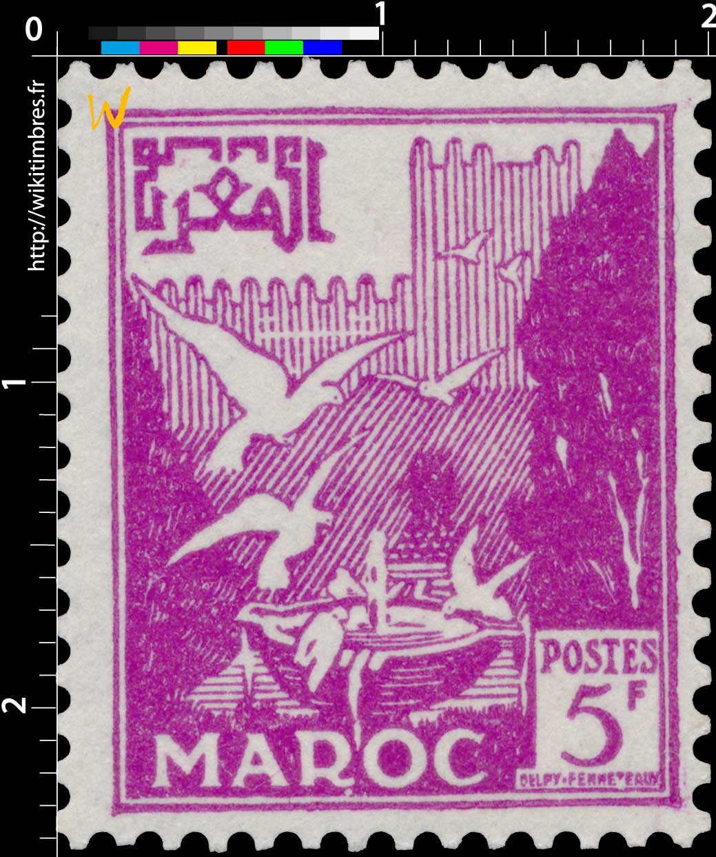 1954 Maroc - Vasque aux pigeons