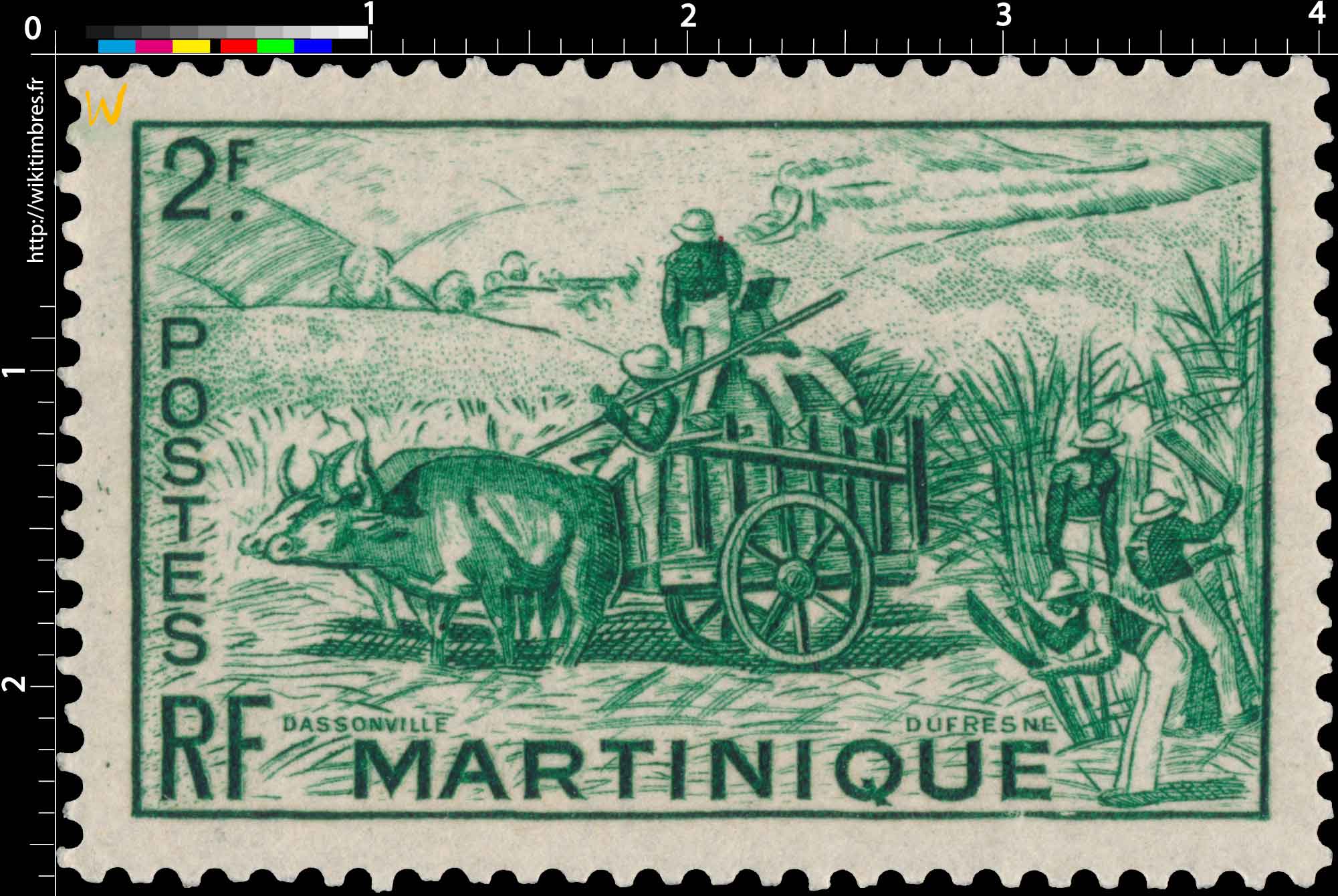 Martinique - Récolte de la canne à sucre
