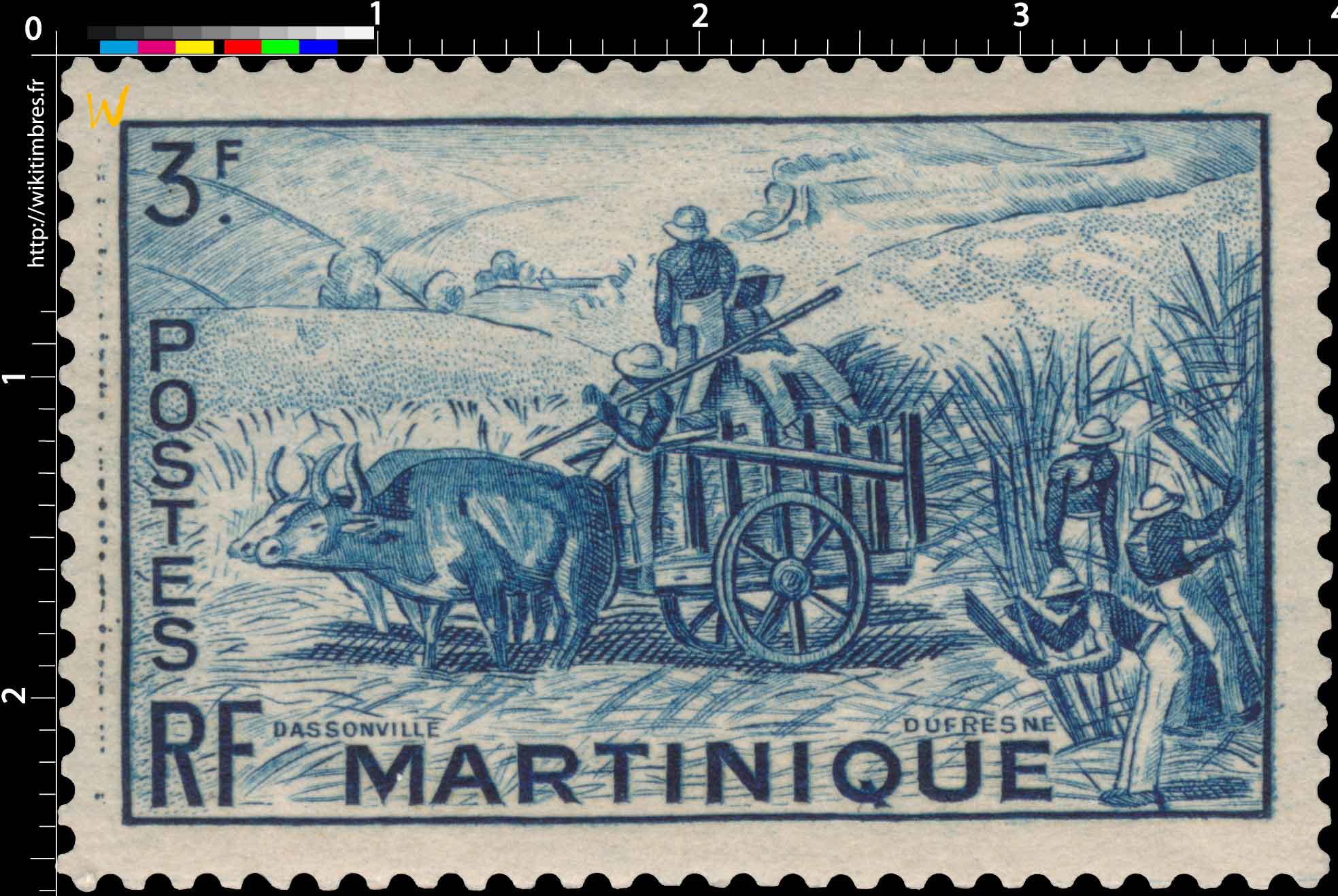 Martinique - Récolte de la canne à sucre