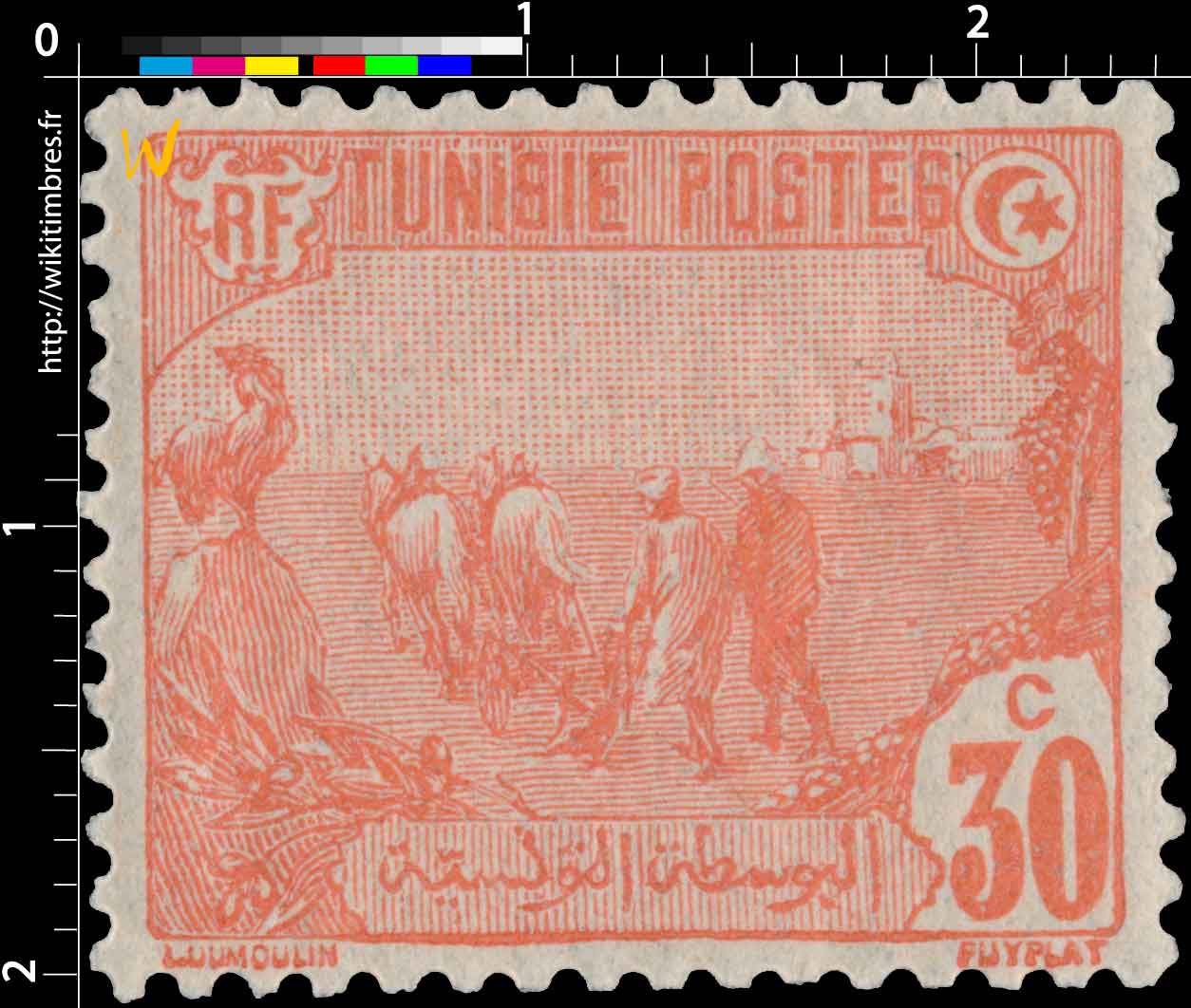 Tunisie - Laboureurs