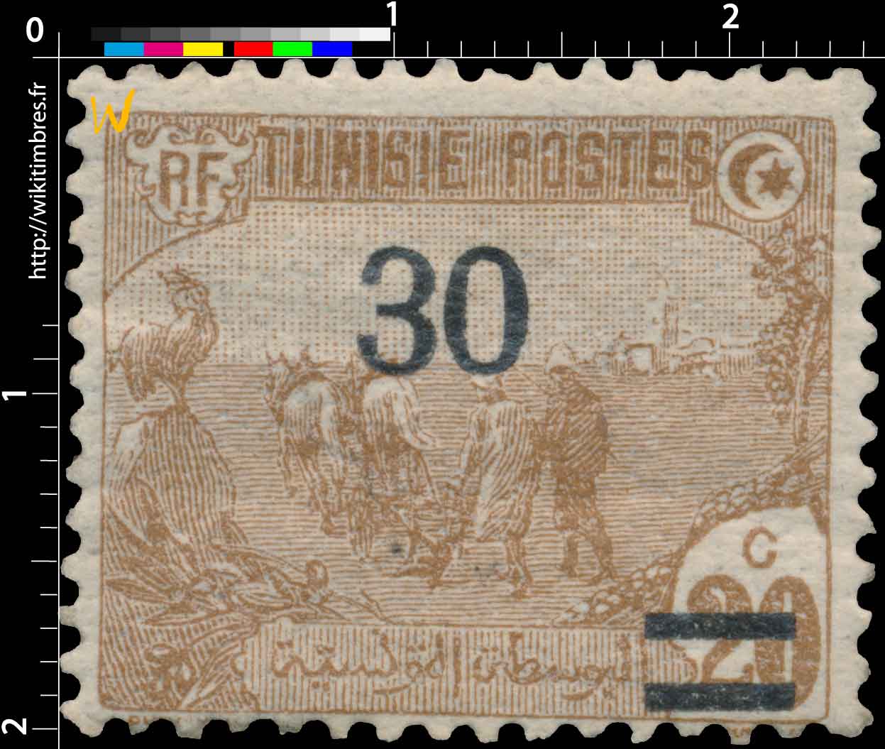 Tunisie - Laboureurs