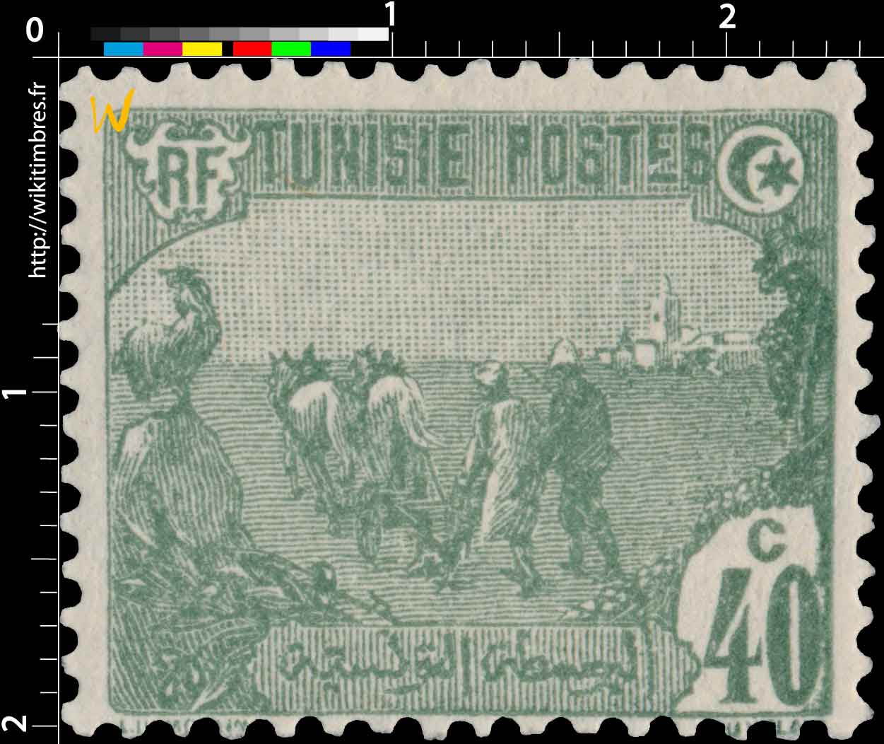 Tunisie - Laboureurs