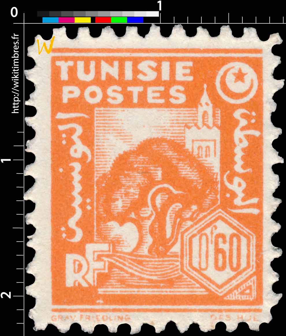 Tunisie - Olivier et mosquée