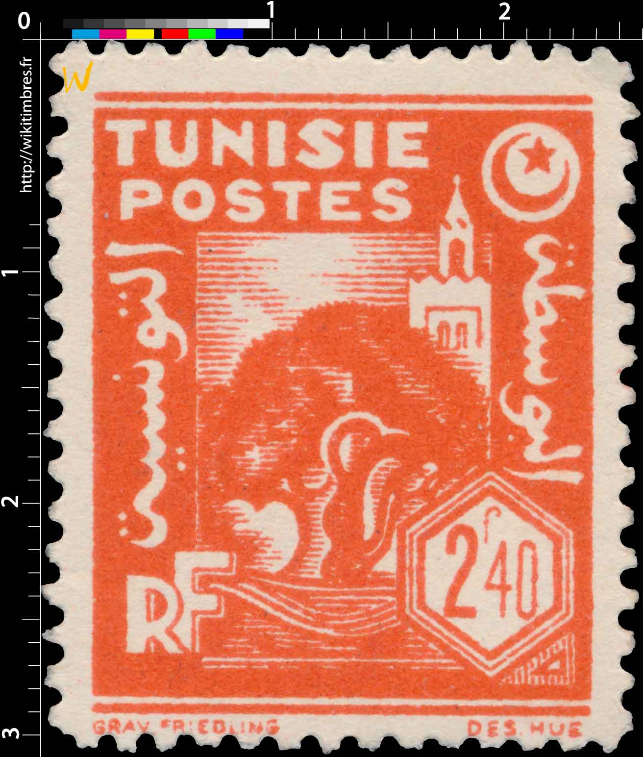 Tunisie - Olivier et mosquée