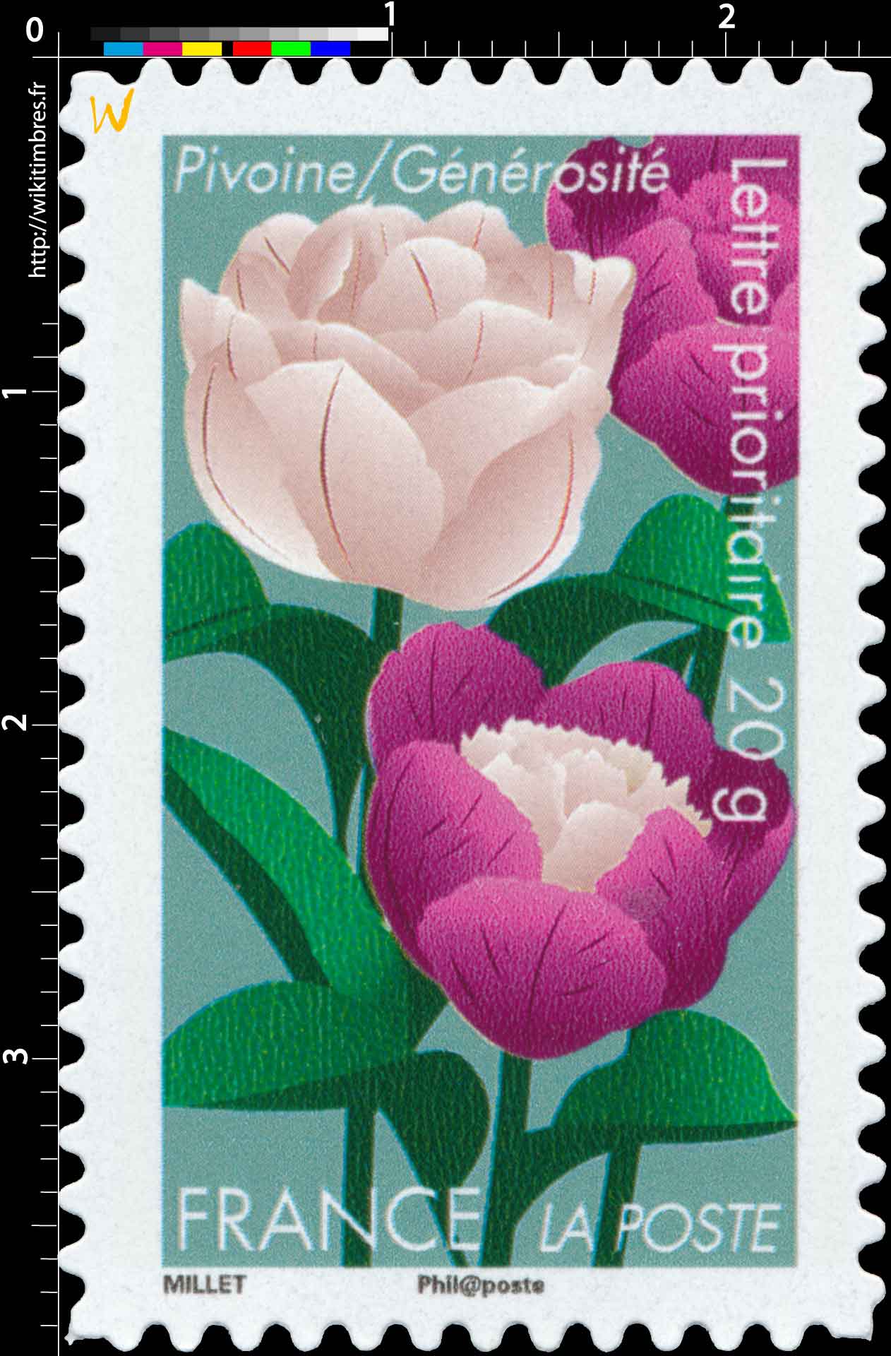 Pivoine / Générosité