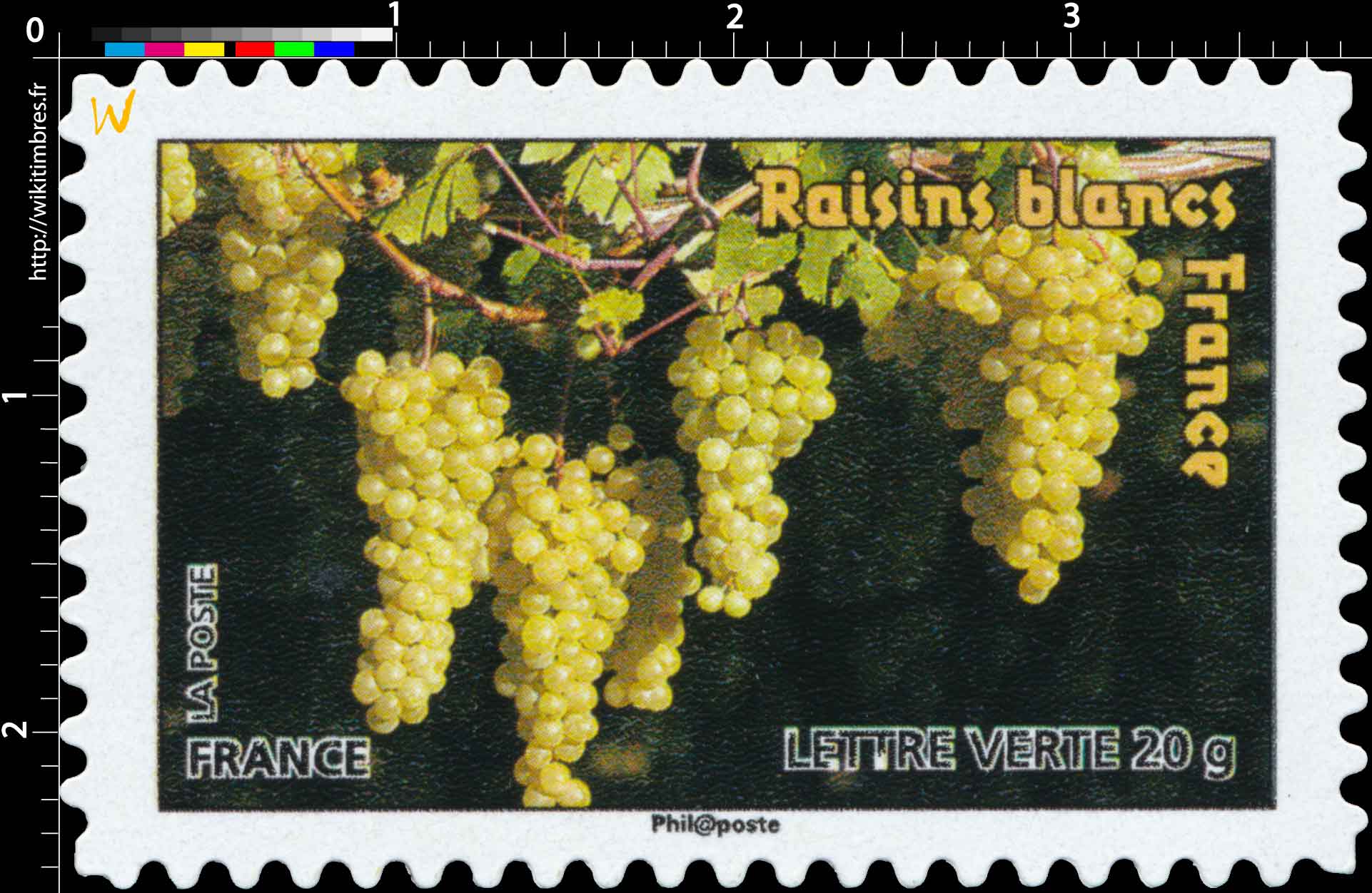raisins blancs France