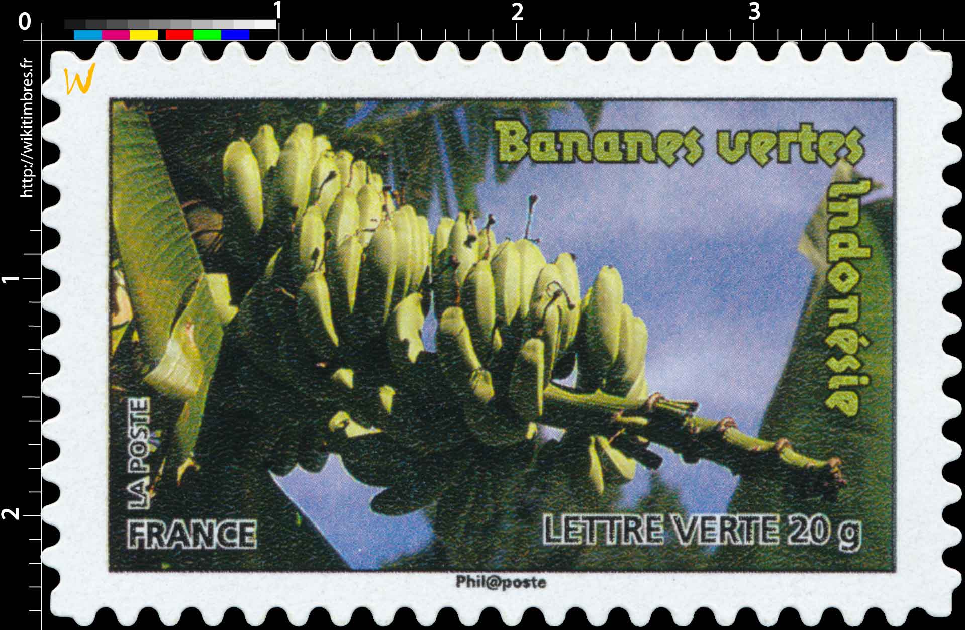 Bananes vertes Indonésie
