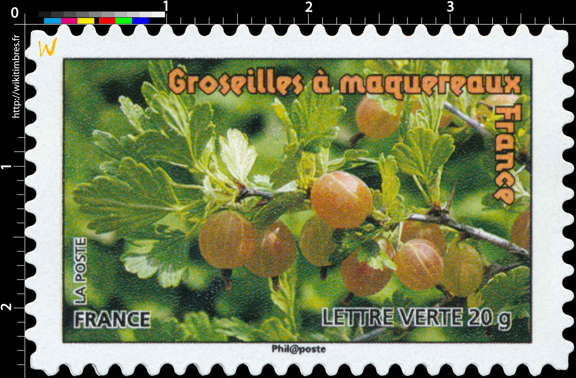 groseilles à maquereaux France