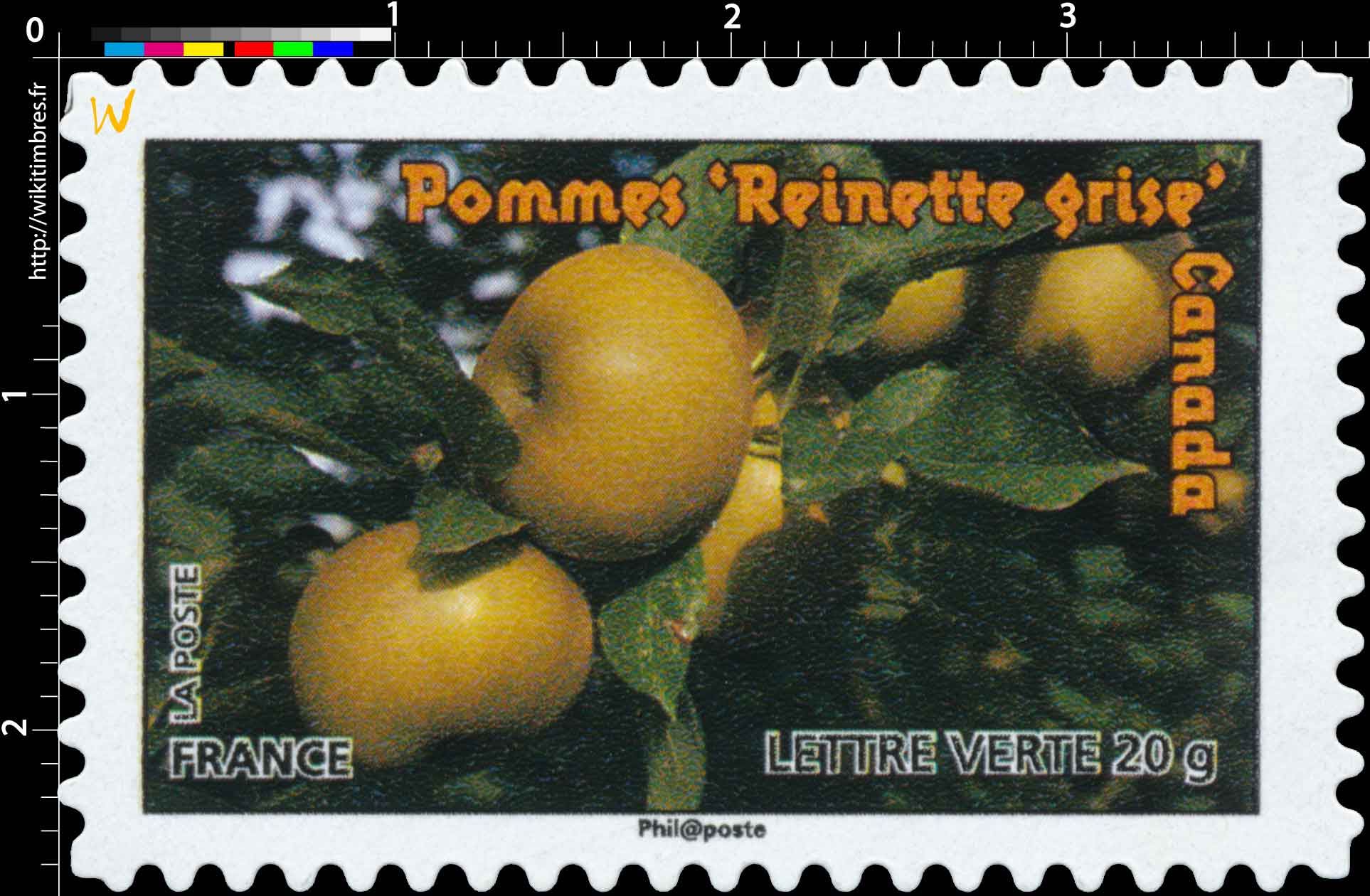 pommes reinette grise, Canada