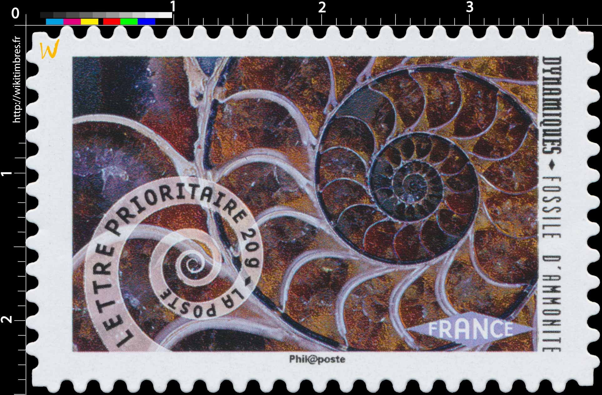 2014 Dynamiques Fossile d’Ammonite 