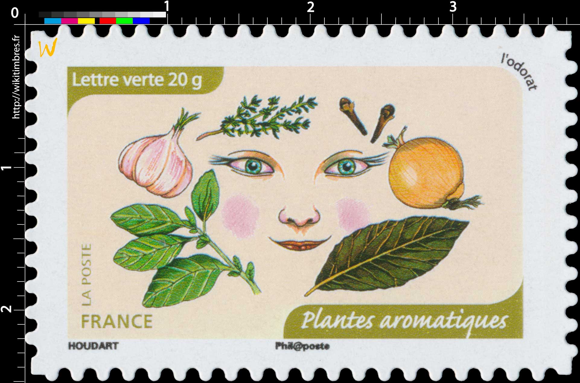 2014 L'odorat : Plantes aromatiques