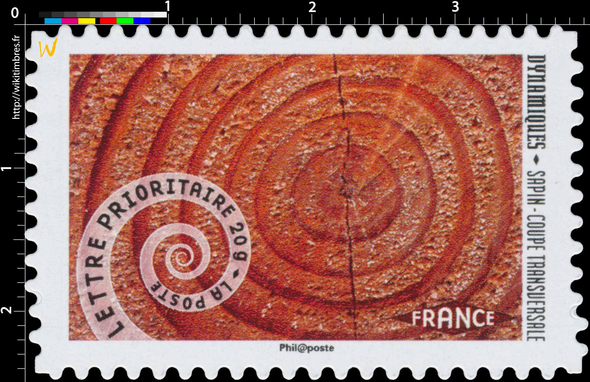 2014 Dynamiques Sapin coupe transversale