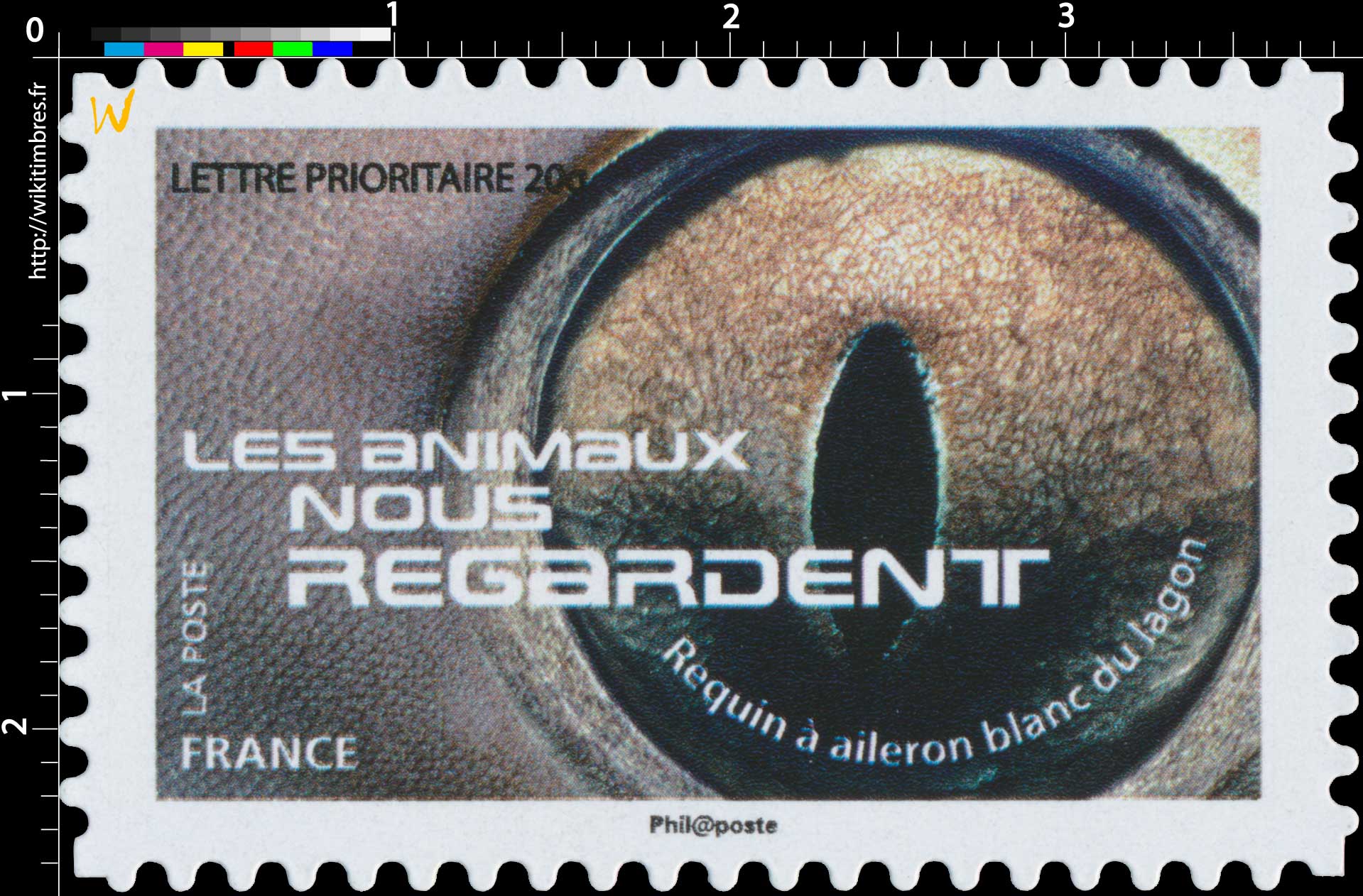 2015 LES ANIMAUX NOUS REGARDENT - Requin à aileron blanc du lagon