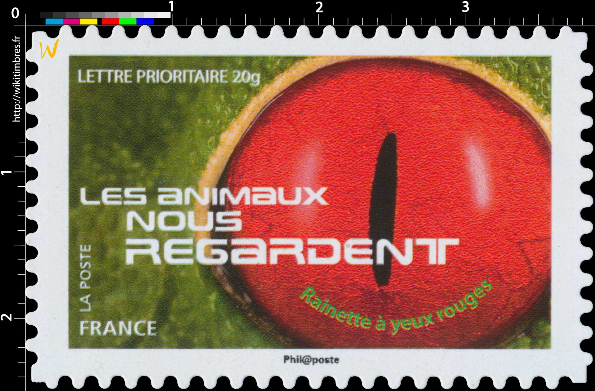 2015 LES ANIMAUX NOUS REGARDENT - Rainette à yeux rouges