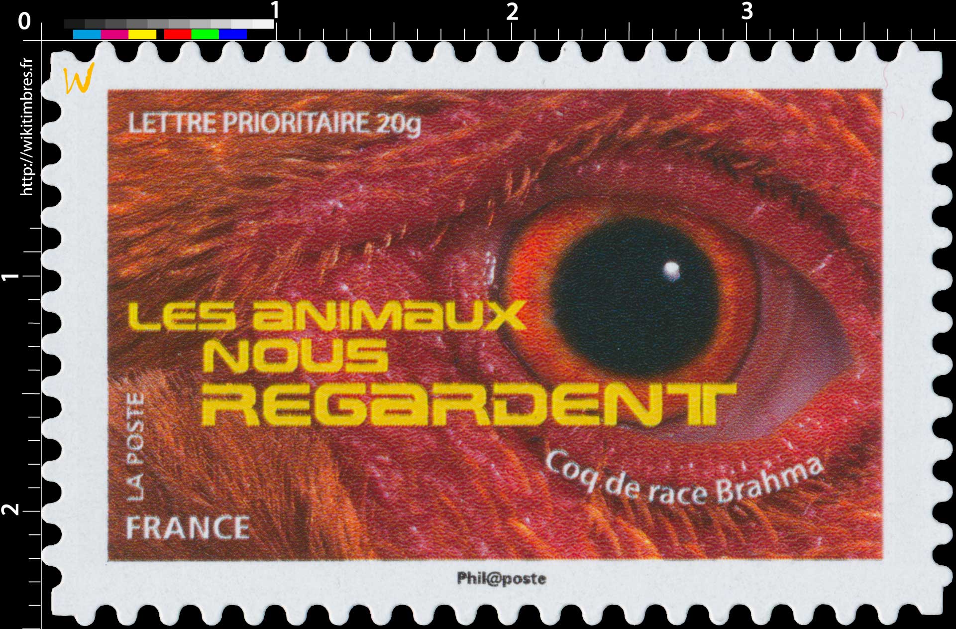 2015 LES ANIMAUX NOUS REGARDENT - Coq de race Brahma