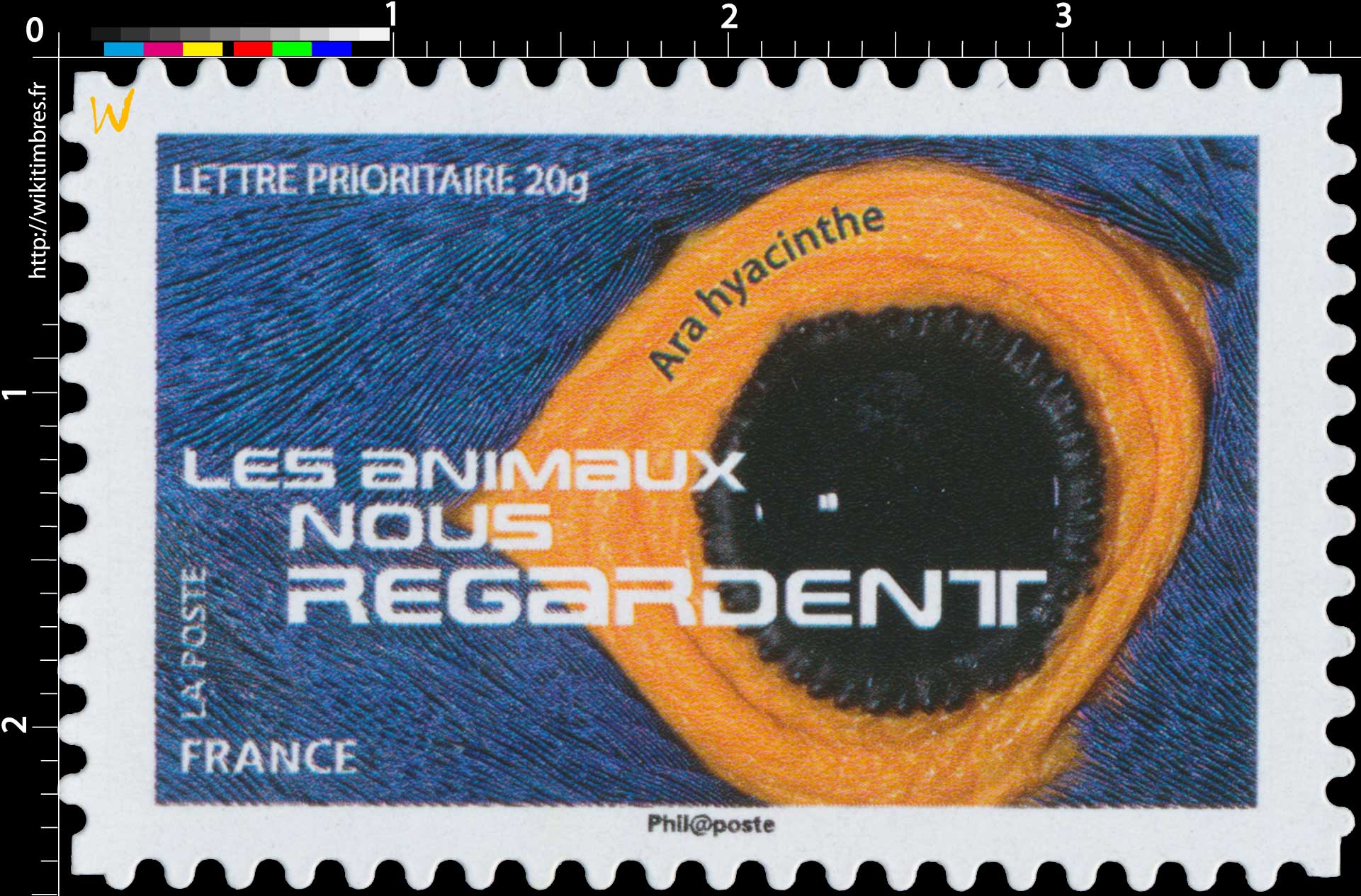 2015 LES ANIMAUX NOUS REGARDENT - Ara hyacinthe 